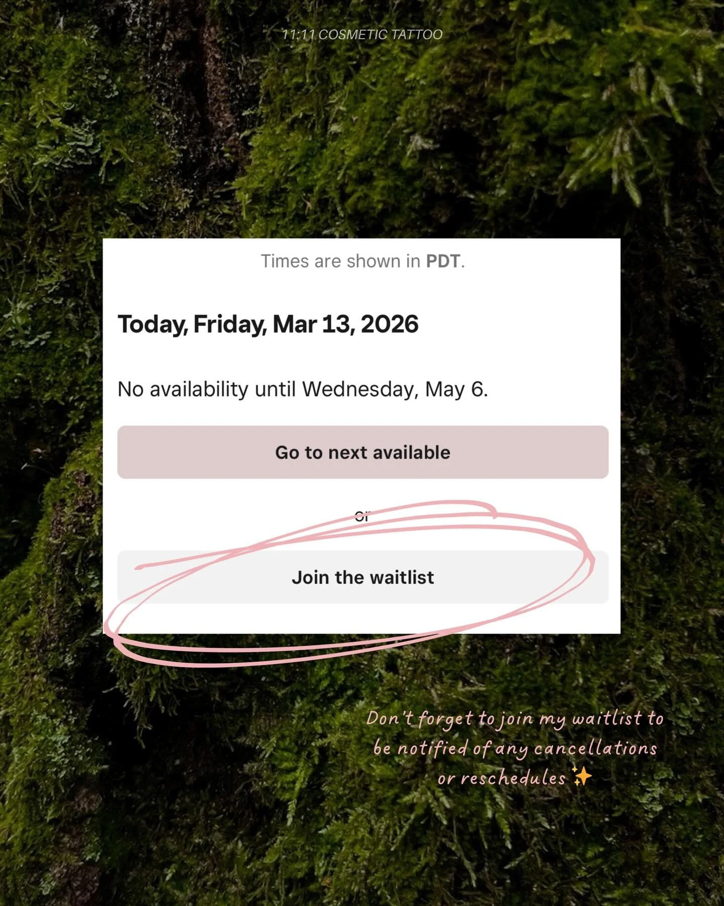 The seasonal rush has officially arrived 🌱

Yes my books are currently full, but feel free to join the waitlist to get a notification if a spot opens up⋆˙⟡

I&rsquo;m so lucky to stay this busy doing what I love. Thank you all for the constant suppo
