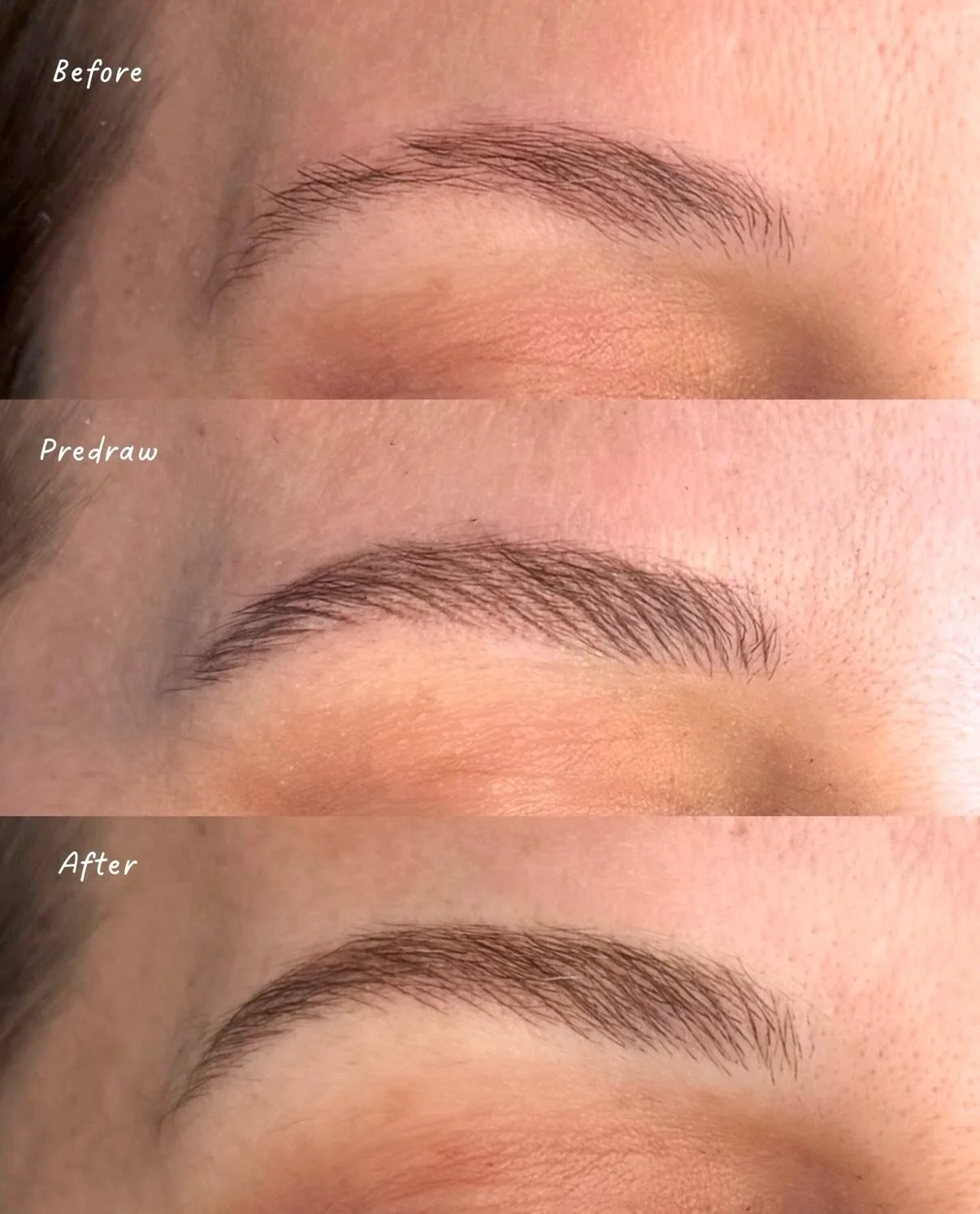 Borderless brow mapping✨

Lately I&rsquo;ve been doing this more loose mapping for my clients that don&rsquo;t want that very sharp/defined shaping. I focused on layering individual hair strokes in the direction her natural brows grow so it adds full