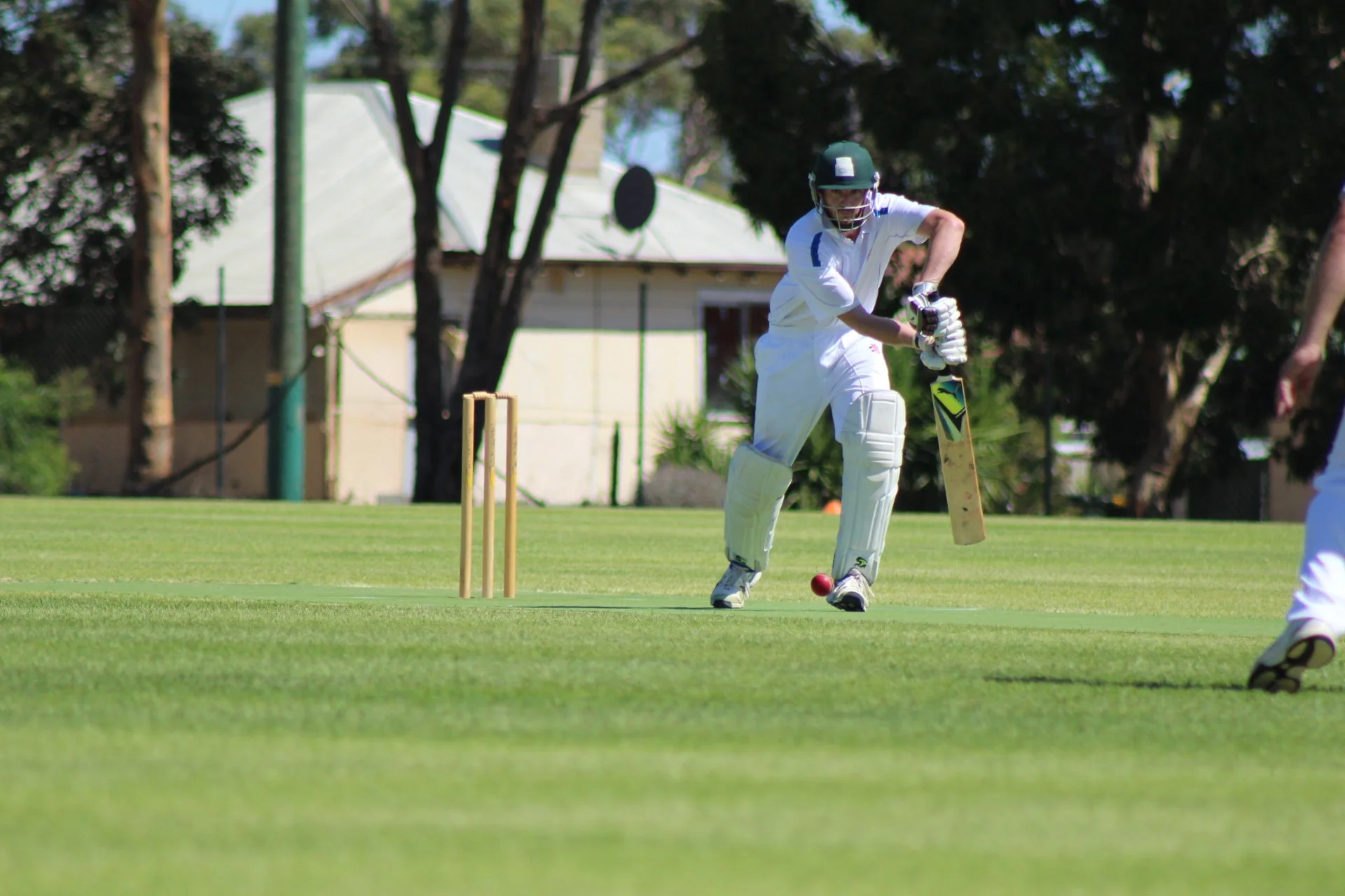 gshAustrals 180221_01.JPG