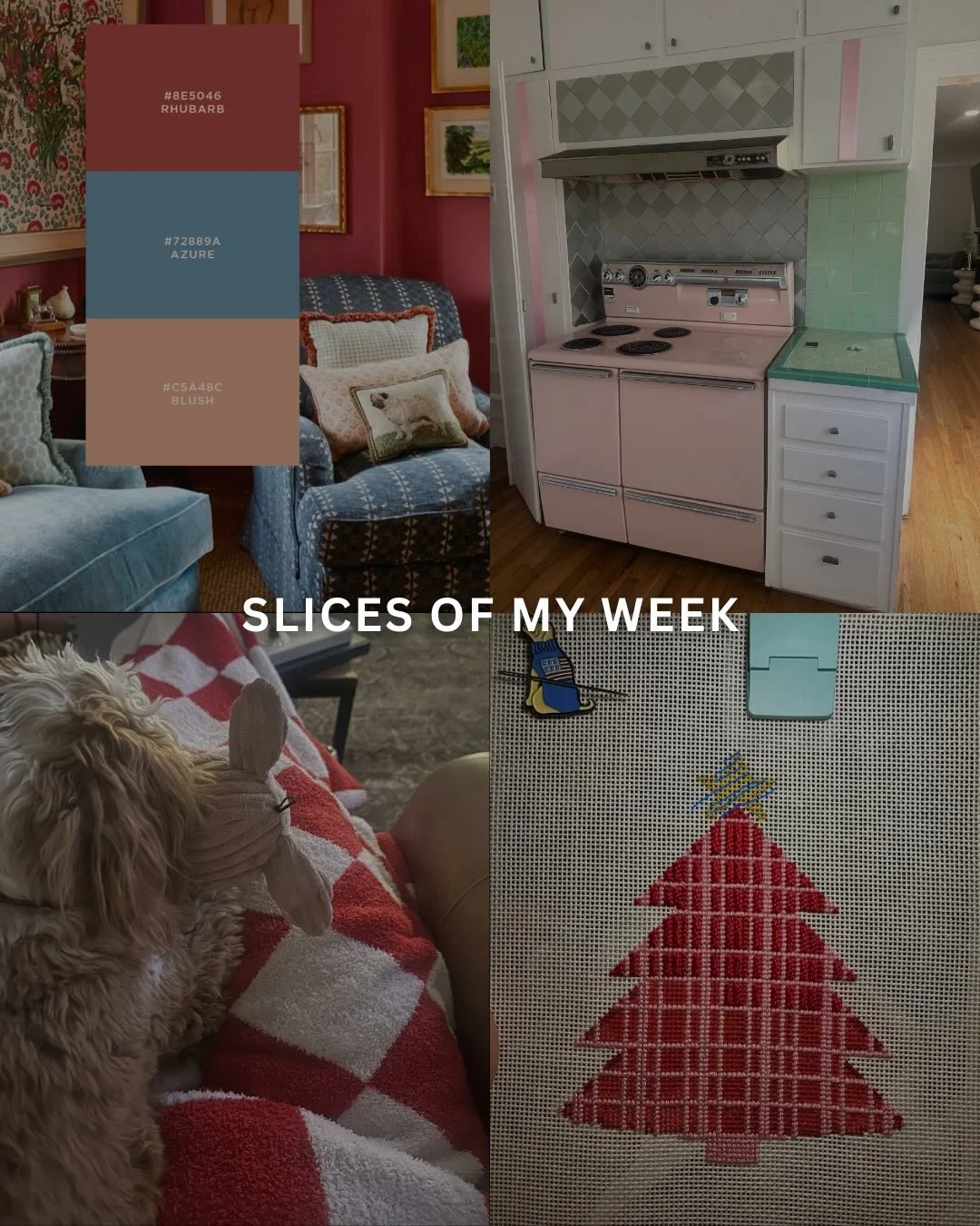 Feeling grateful for the fresh start of a new year 🌟