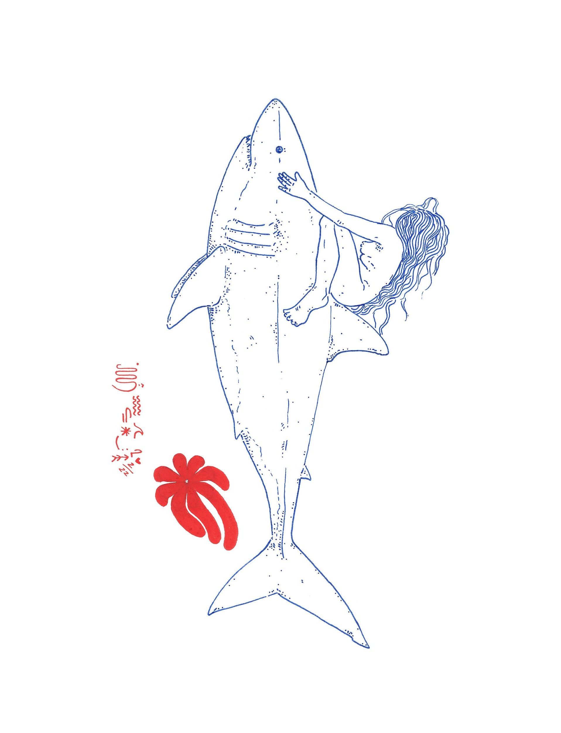 Shark+Web.jpg