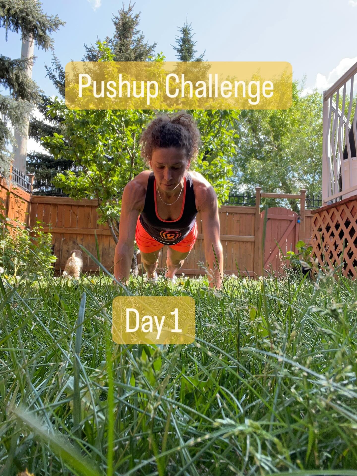 120 Pushups for 120 mins of outdoor activity weekly for optimal health.
@pushforbetter
#happy #fitness #mentalhealth #challenge #pushups #yycfitness