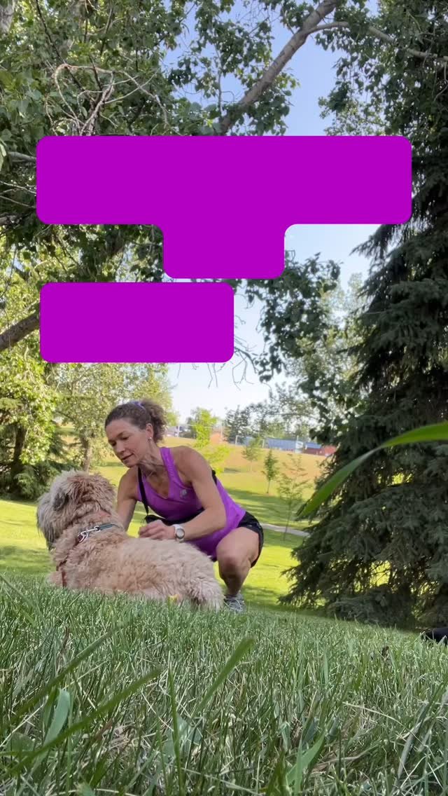 Slide 9
