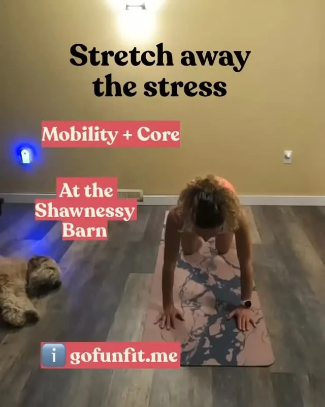Release, restore, renew your body, relieve stress and move freely in your daily activities.
Join our Fall Mobility + Core program in Shawnessy .
Season passes are on SALE Now! More info on website at gofunfit.me @shawnessybarn #fitness #wellness #st