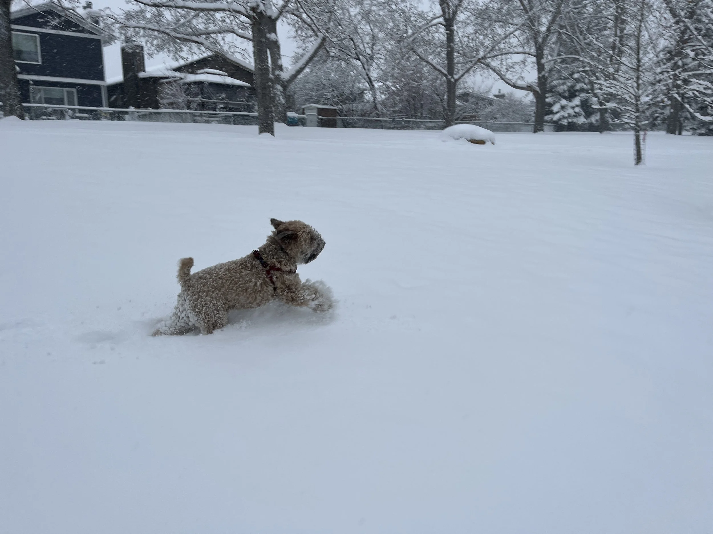 Build Resilience to Stress 