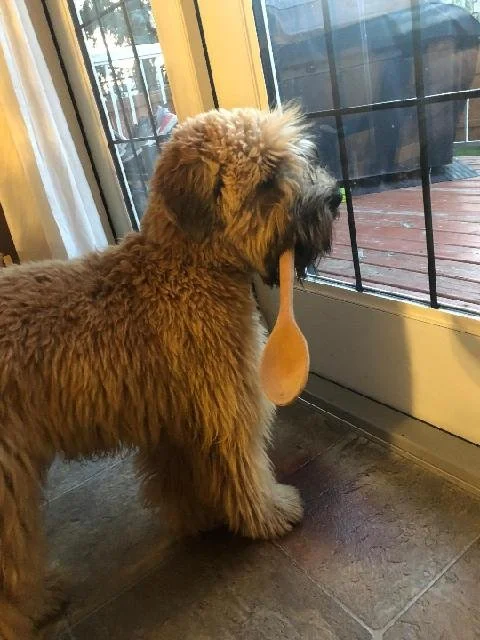 Fitness is not an obligation, it is an opportunity to honour the body and strengthen the foundation for a long, vibrant life.  