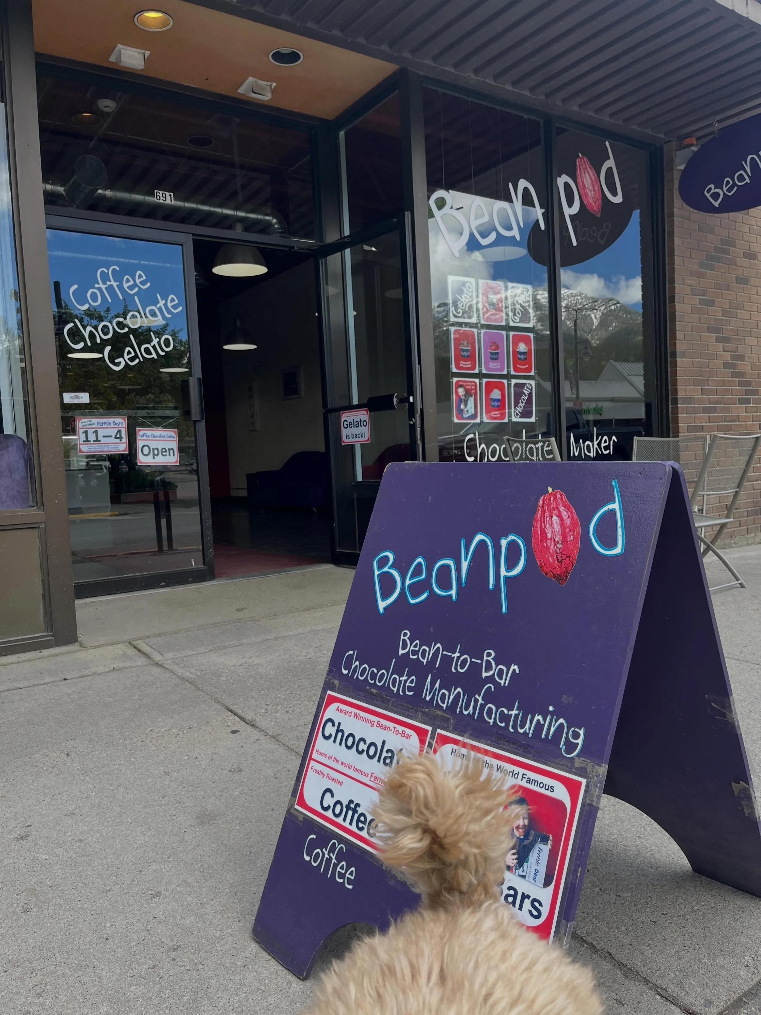 The best coffee ☕️The best chocolate 🍫 The nest gelato 🍧 in rown 😋 always stop at Beanpod chocolate when in Fernie and treat yourself to an amazing coffee/chocolate/ice cream. @beanpodchocolate #happy #coffee  #chocolate #local #gelato