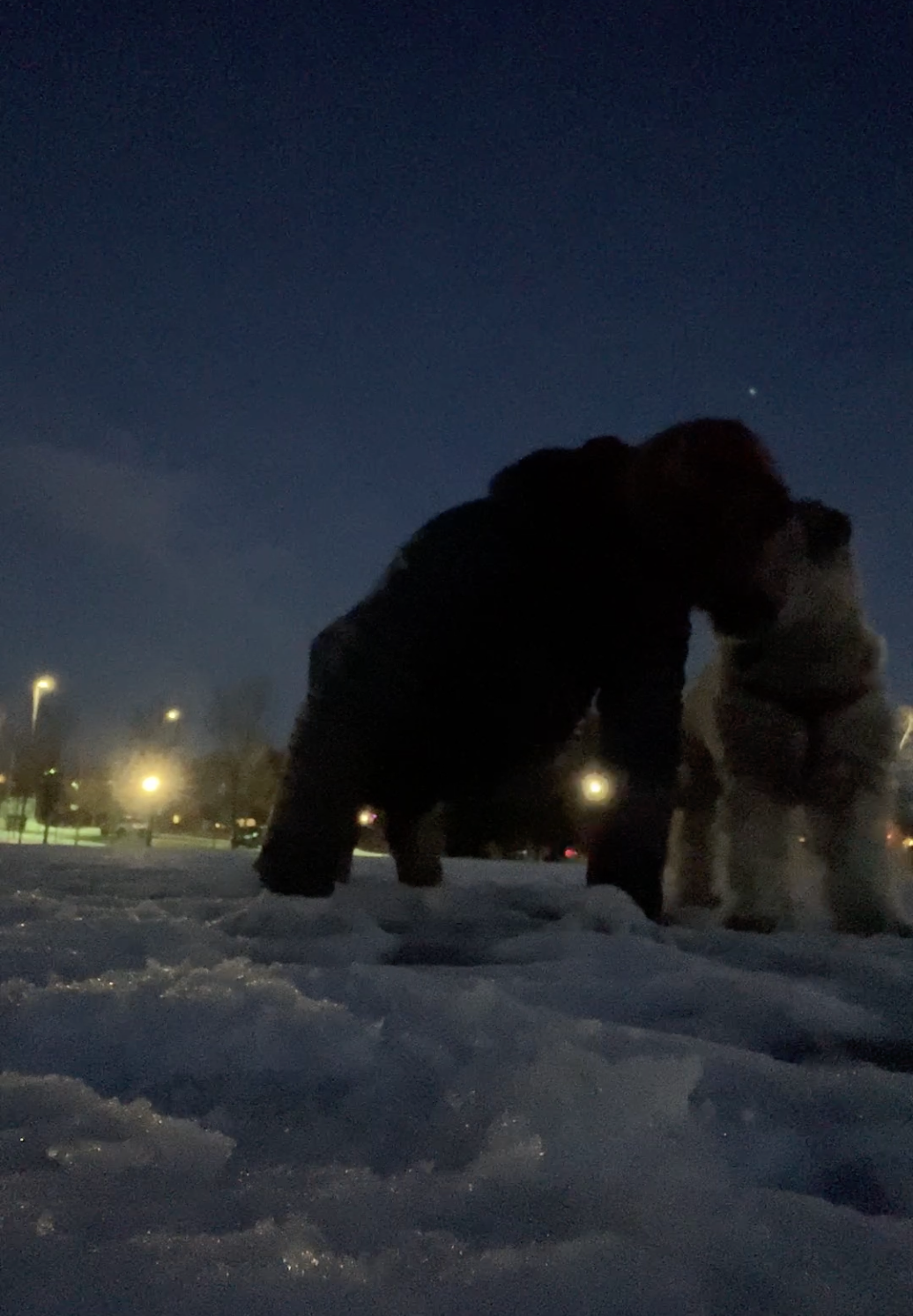 Pushforbetter pushup challenge for Canada Mental health support