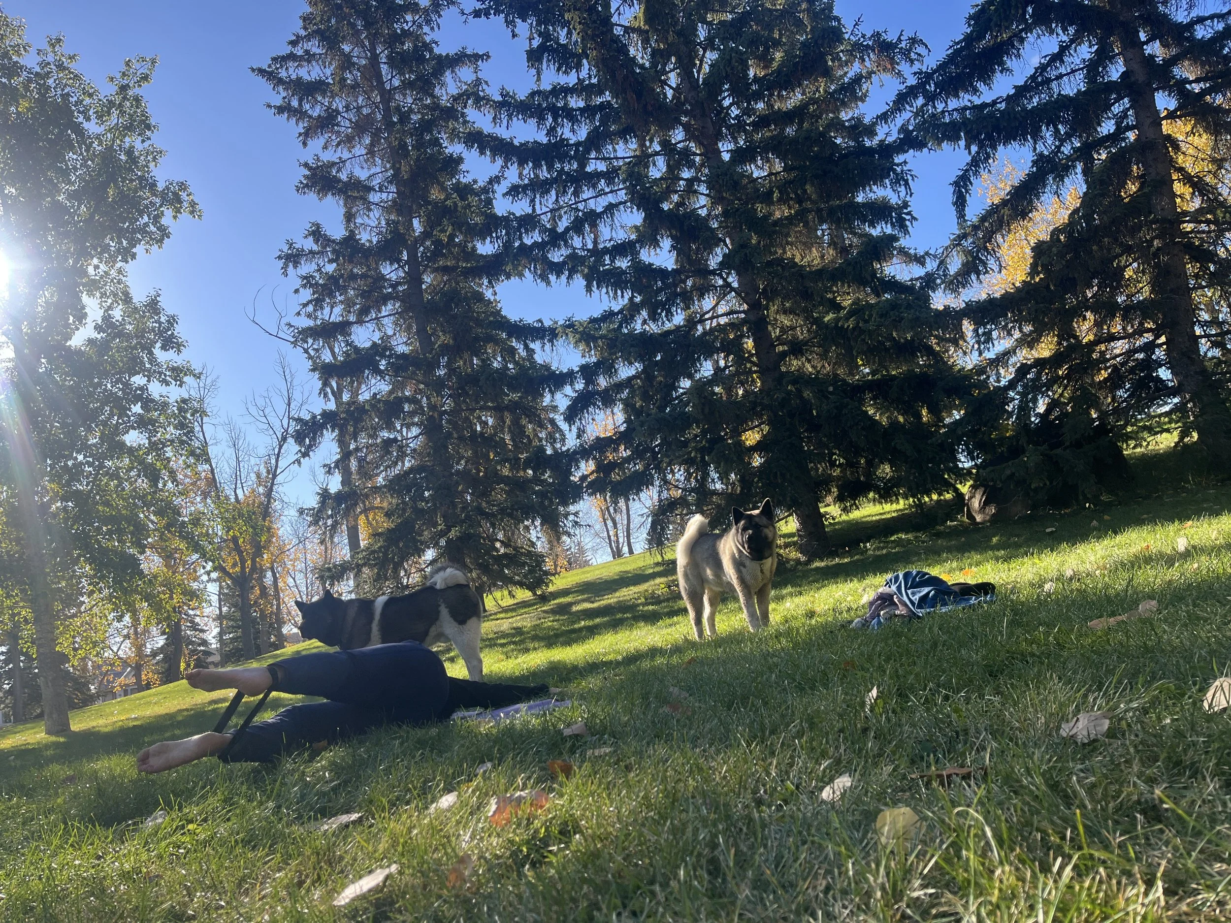 Mobility workout in the Shawnessy Park beside the Barn
