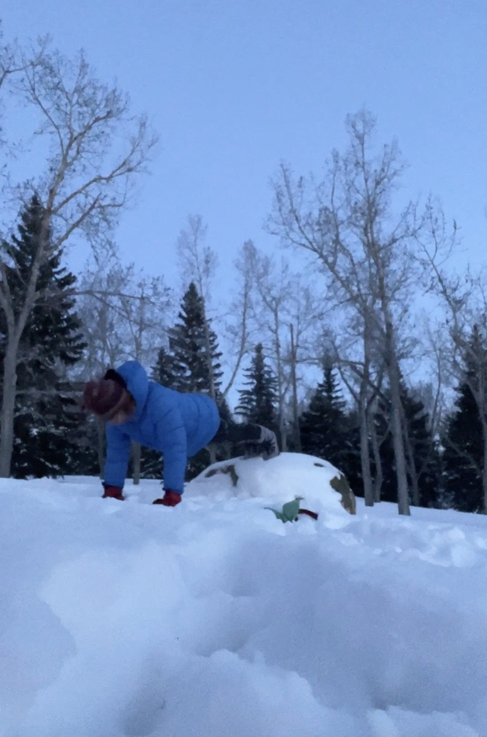 Pushforbetter pushup challenge for Canada Mental health support