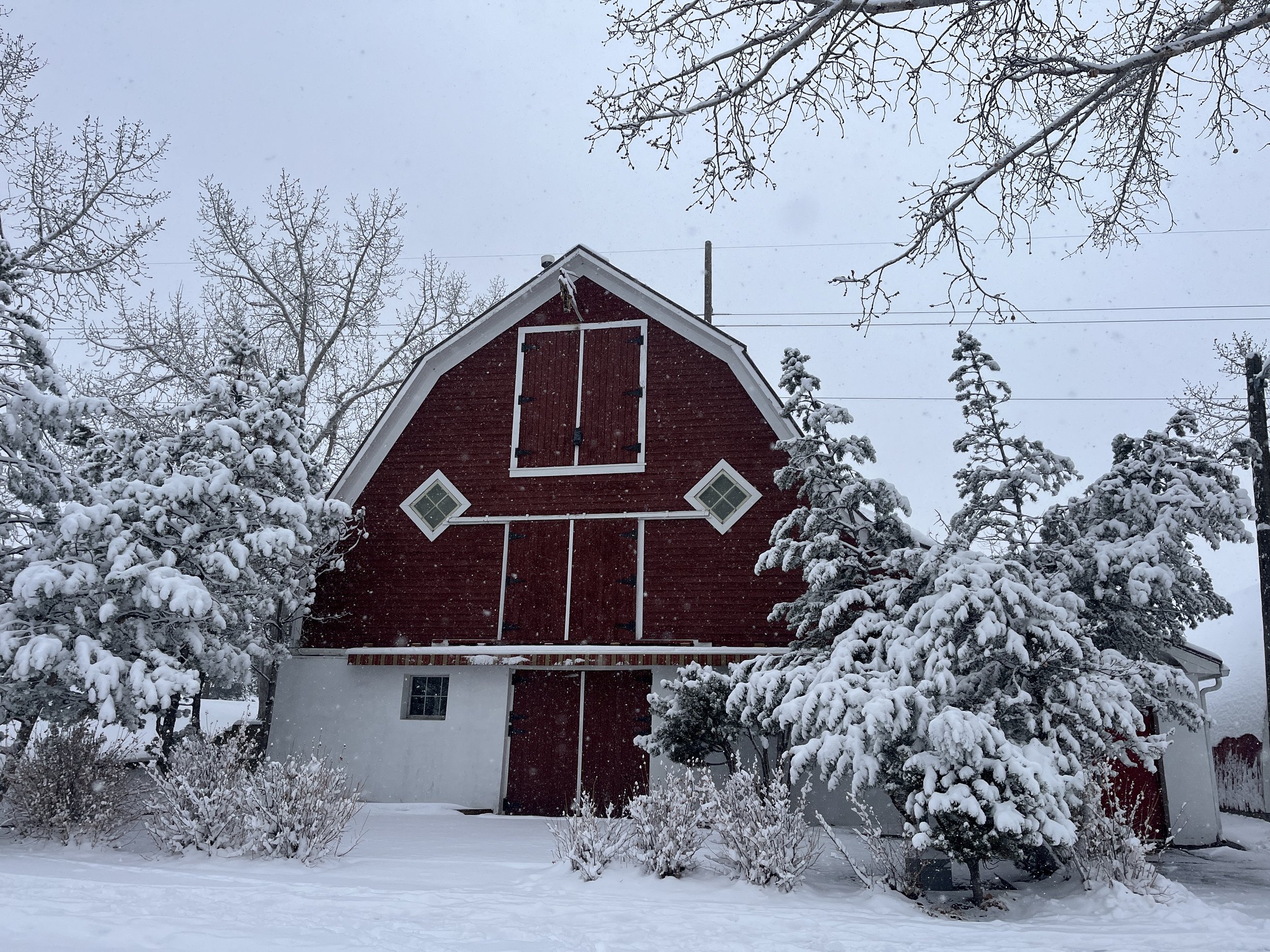 Winter Season Pass at $12/class