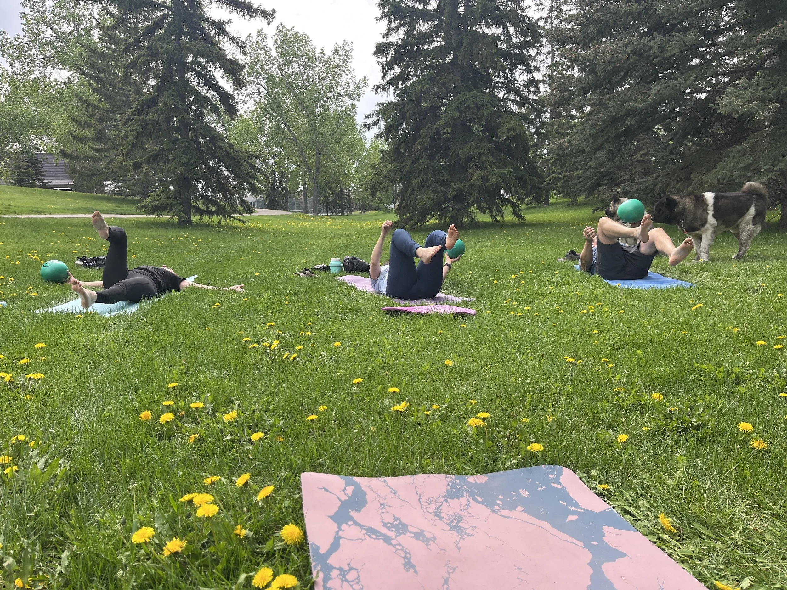 Outdoor Bootcamp/Mobility