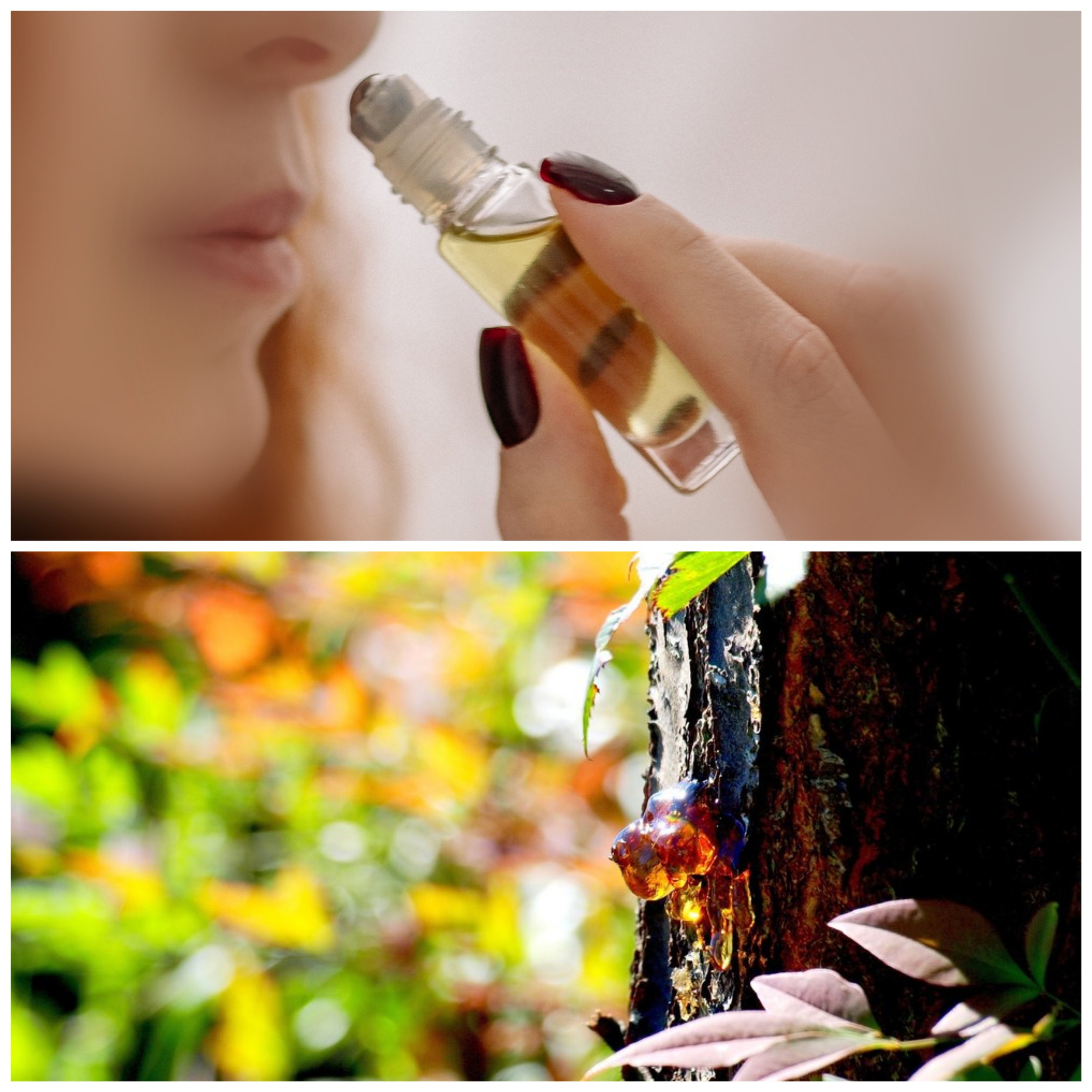Frankincense & Myrrh Perfume Oil ~ NEW SCENT FORMULATION
