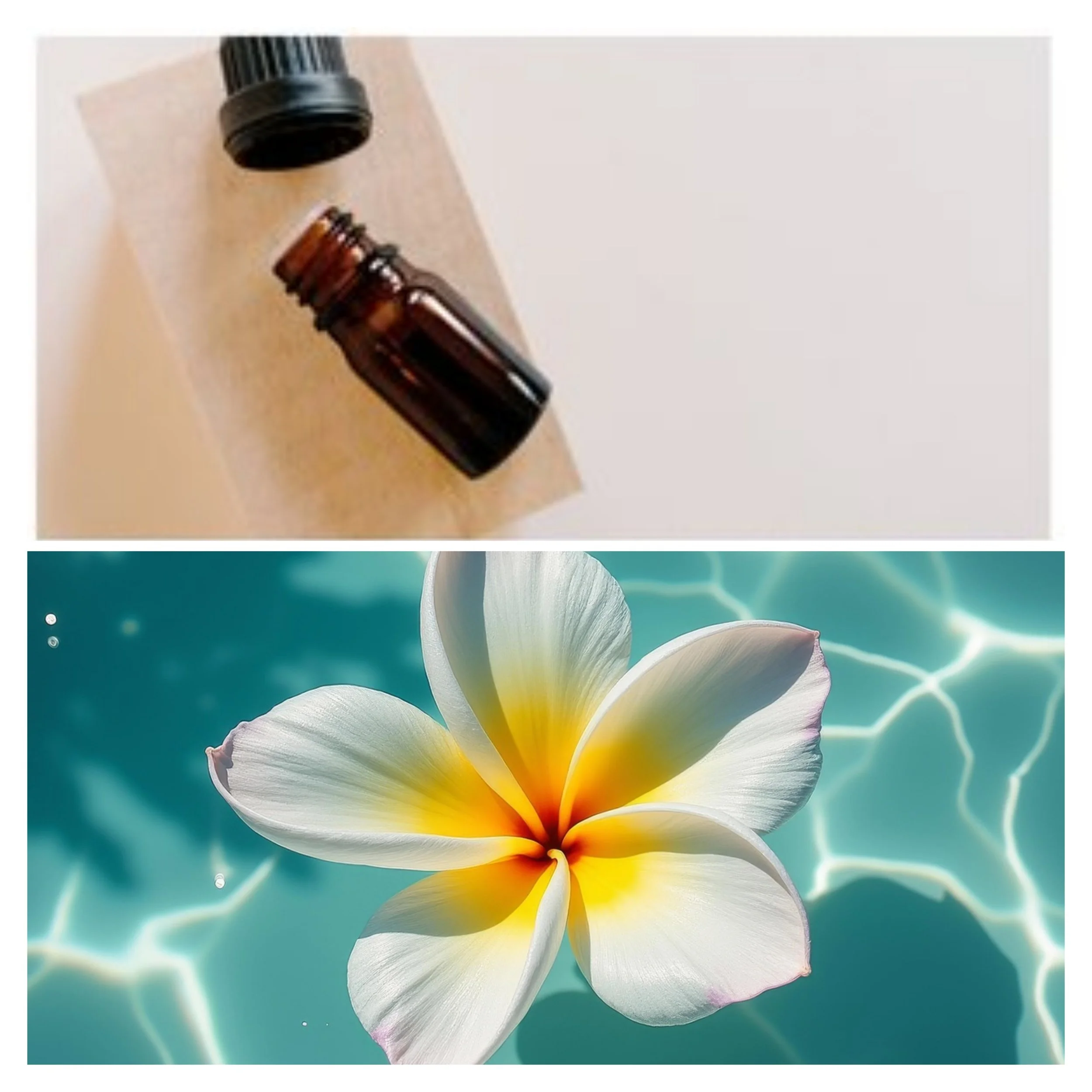 DISCONTINUED Hawaiian Frangipani Fragrance Oil