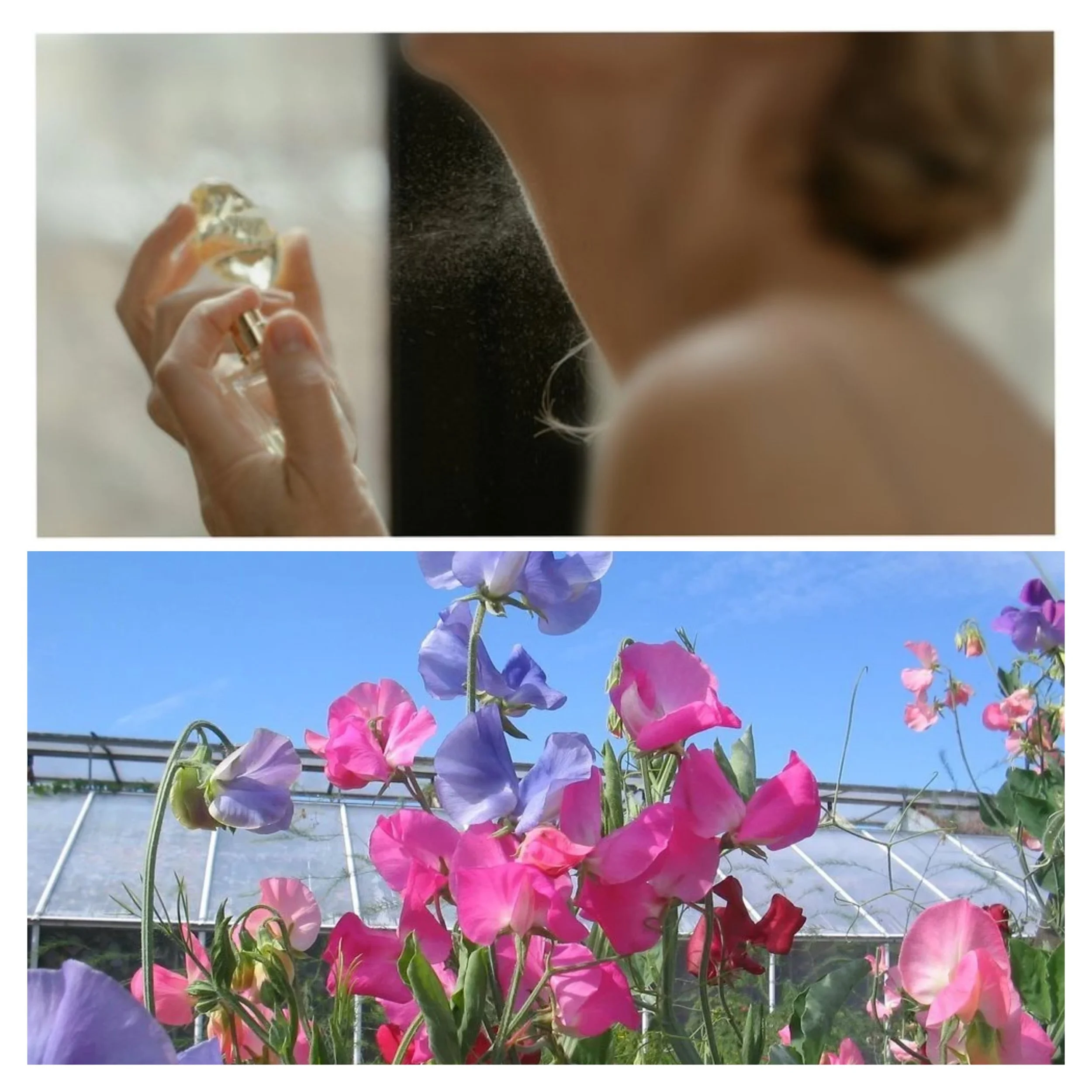 Sweet Pea & Vanilla Eau de Parfum