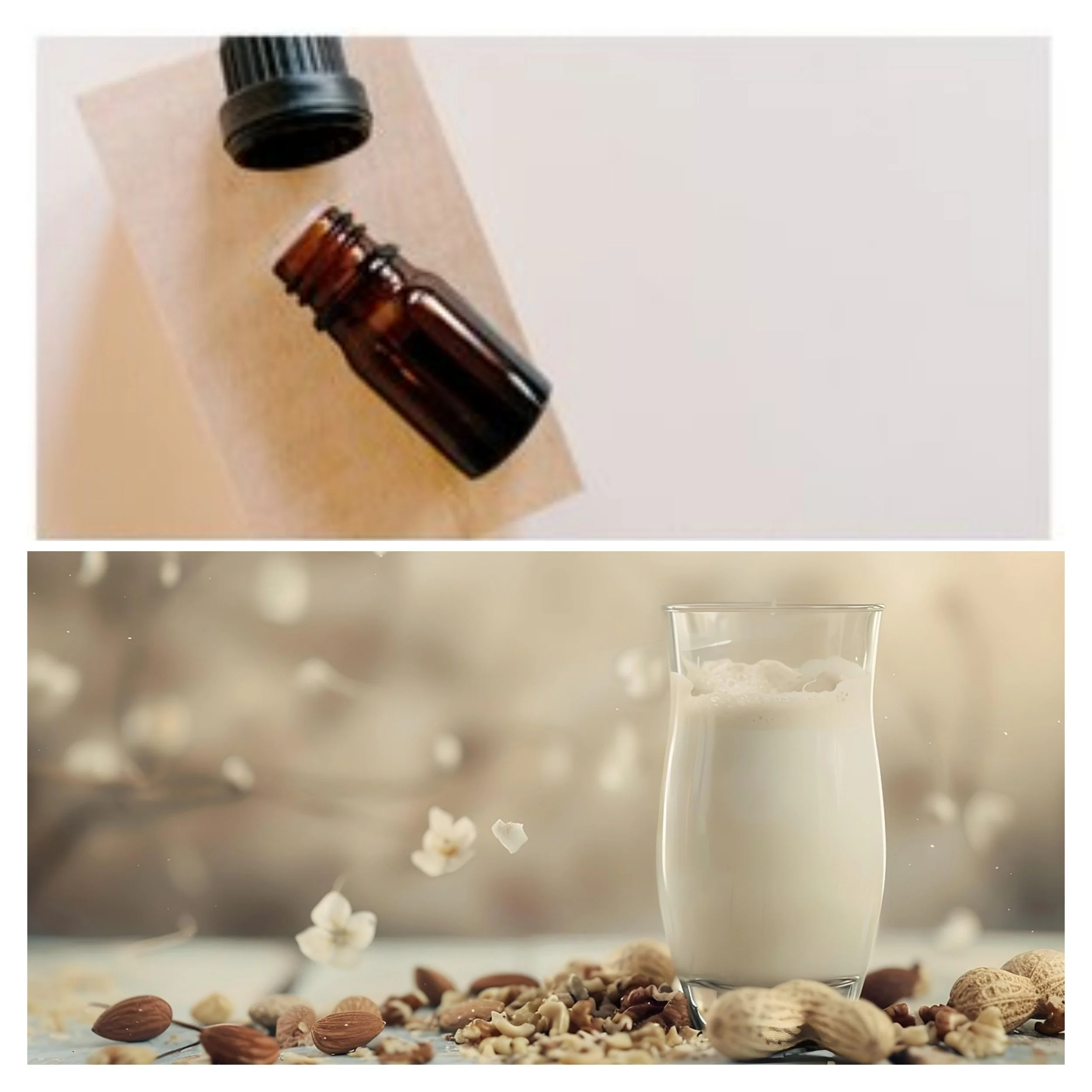 DISCONTINUED Sweet Almond & Vanilla Fragrance Oil