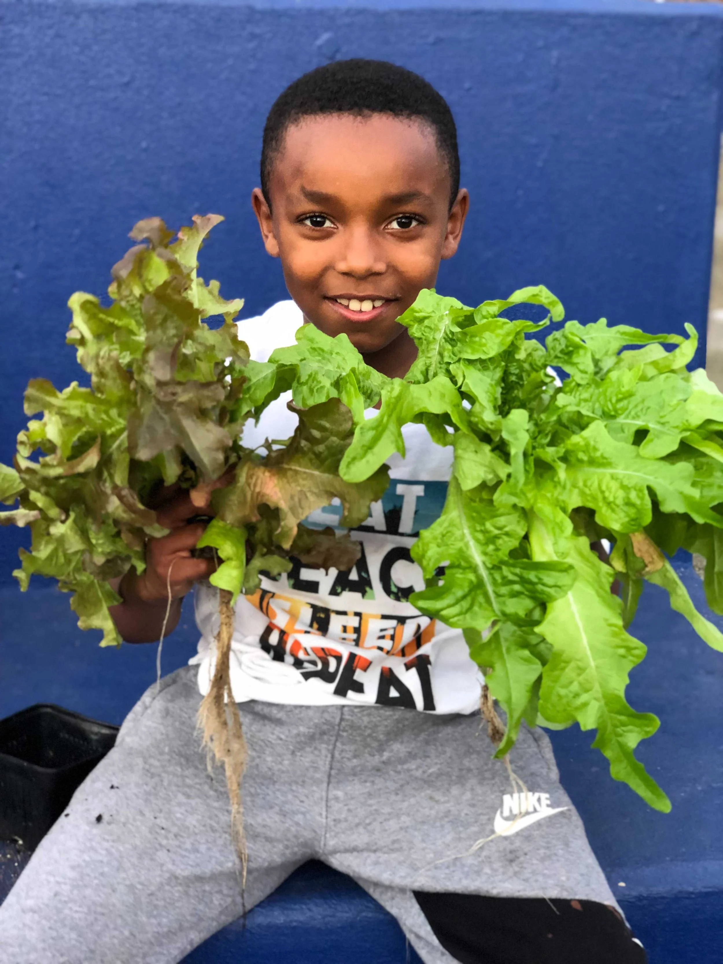 Lettuce Grow Farmstand x Donald.jpeg