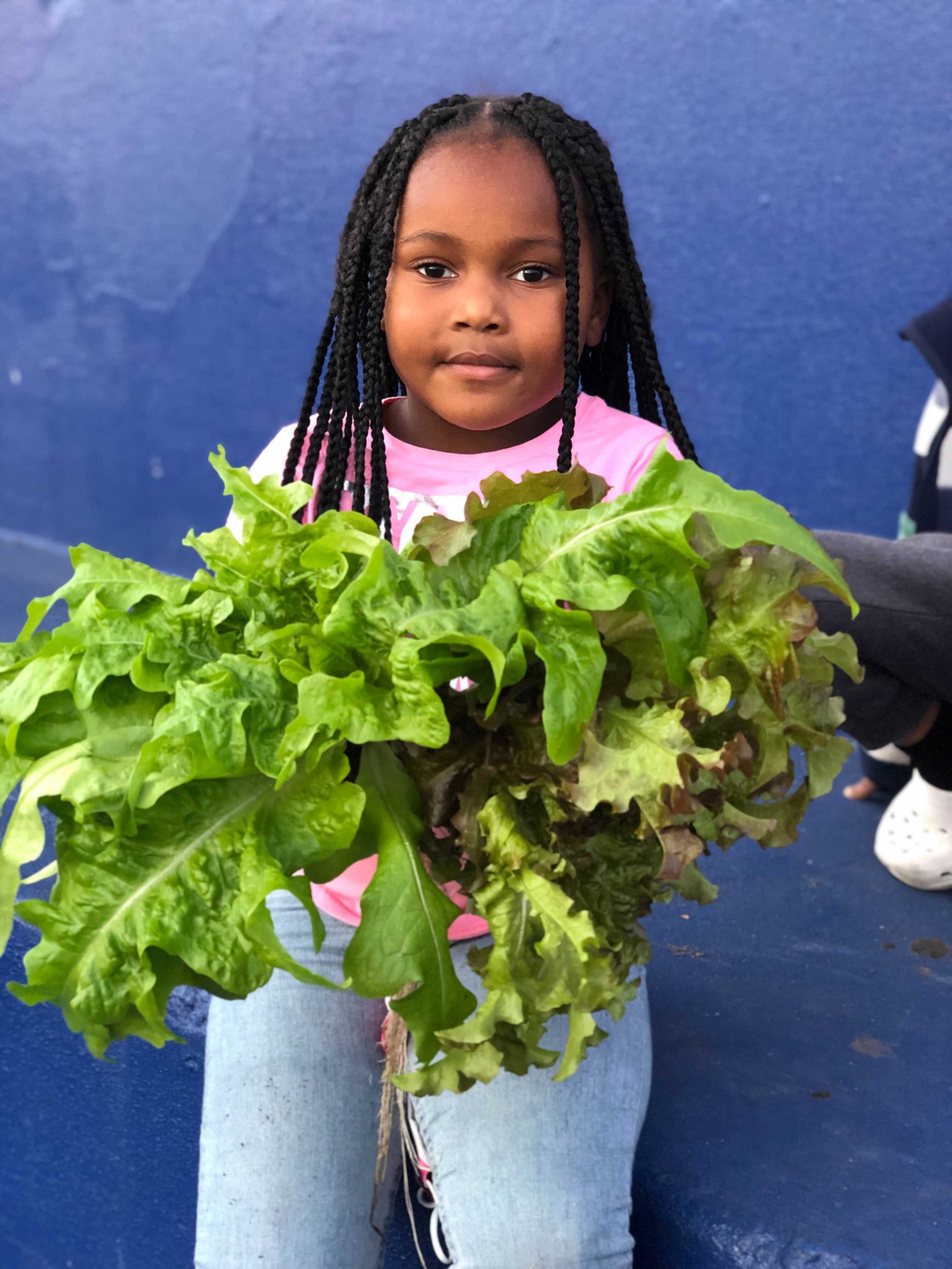 Lettuce Grow Farmstand x Kevin.jpeg