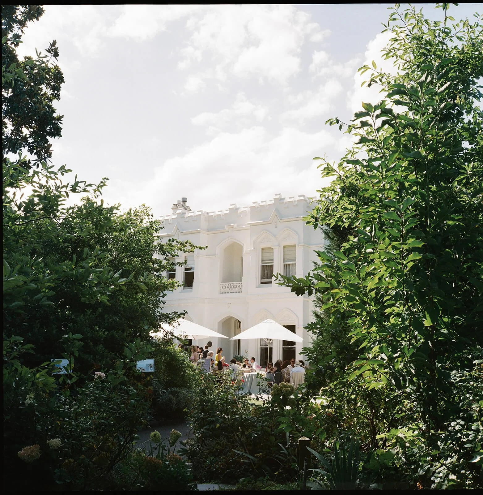 20250209_Lici & Ollie_Film_039.jpg