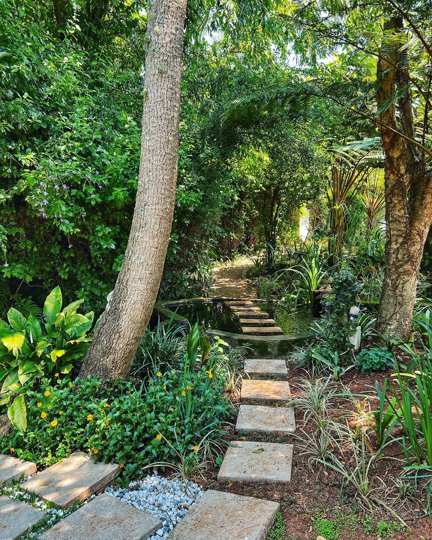 🌳: step into the wild!

𝑩𝑶𝑶𝑲 𝑵𝑶𝑾
https://www.chocolateorchid.co.za/

#whiteriver #southafrica #travel #stay #nature #luxury #lowveldliving #lowveld
#bedandbreakfast #positive #sunshine #happiness #goodlife #renovation #style #design #new #get