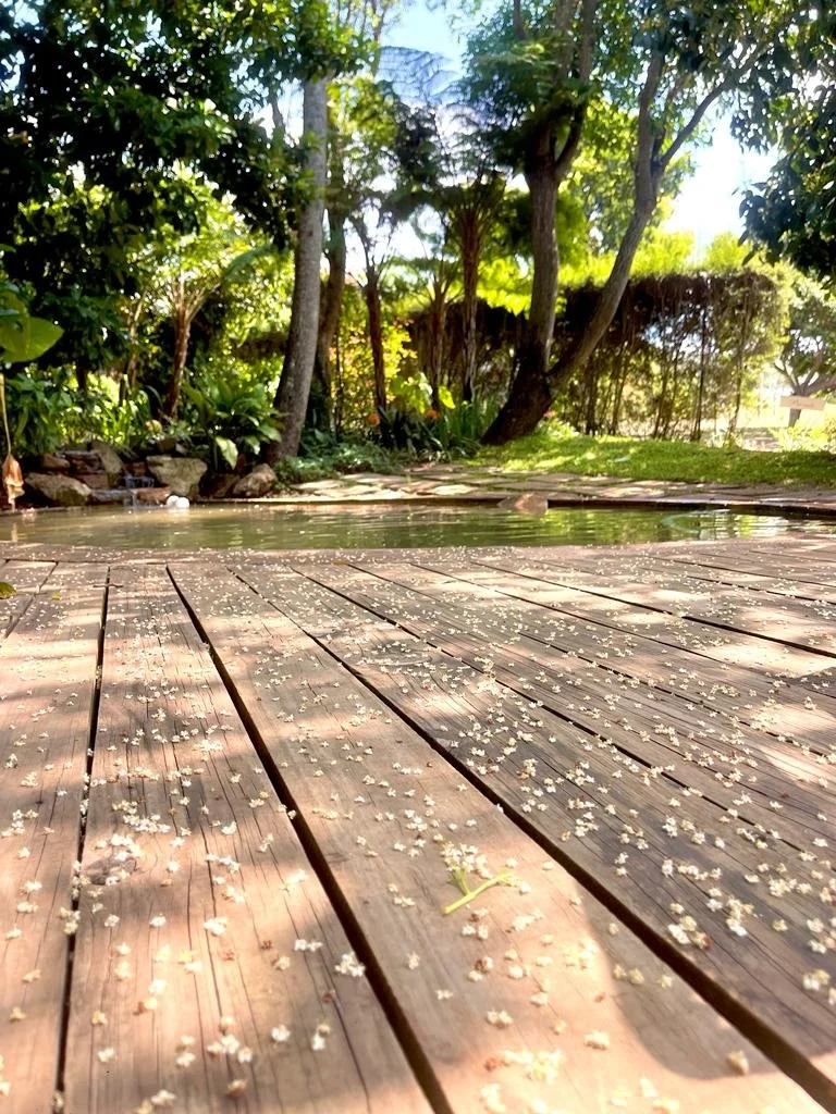 Chocolate Orchid Venue 13.jpeg