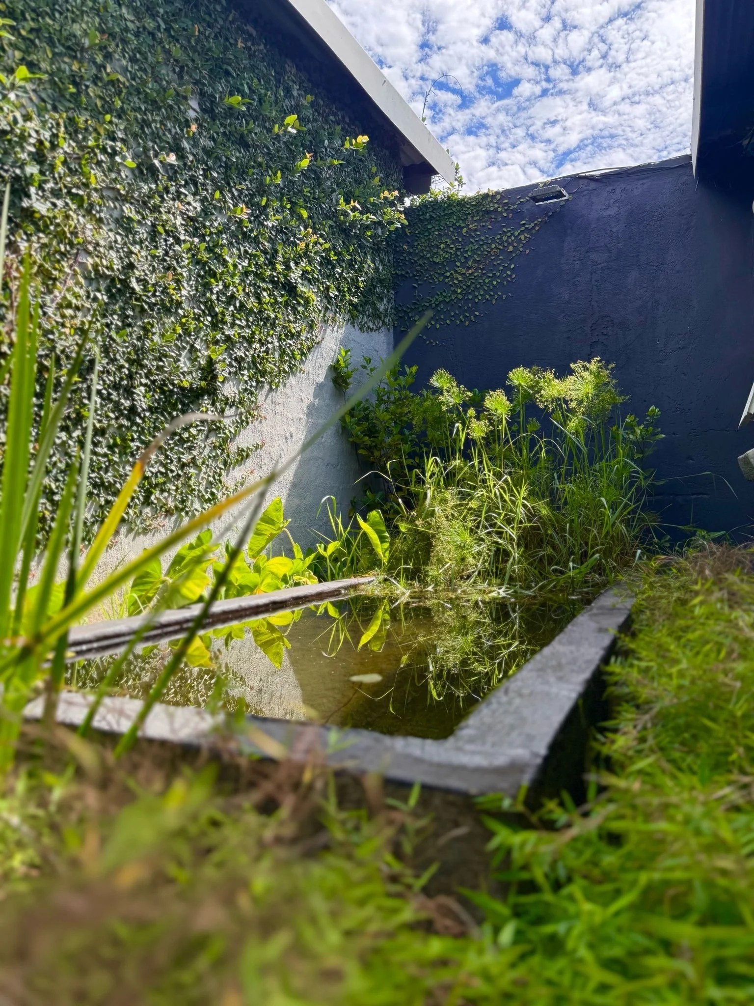 The Duck-Egg Blue Room (14).JPG