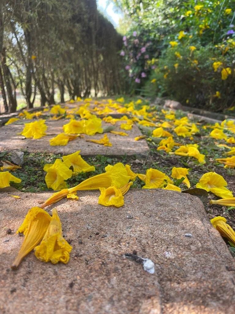 Chocolate Orchid Venue 14.jpeg