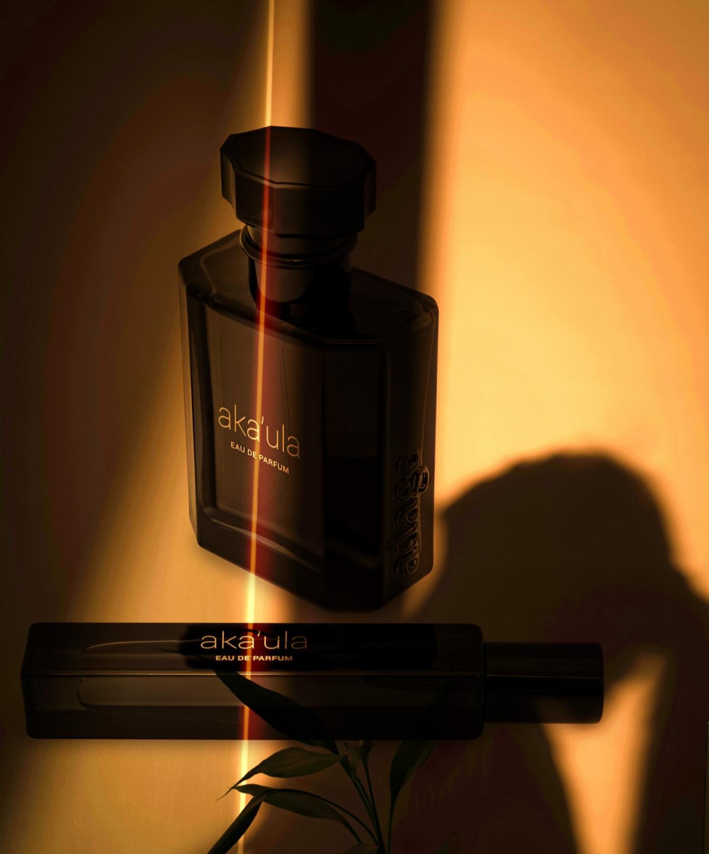 Where there&rsquo;s smoke there&rsquo;s fire.

Volcanic smoke and island spice bring the heat to aka&rsquo;ula eau de parfum. 

_____________________
#aka&rsquo;ula #eaudeparfum #nicheperfume #indieperfume #hawaii #volcanicisland #fragrancelover #sot