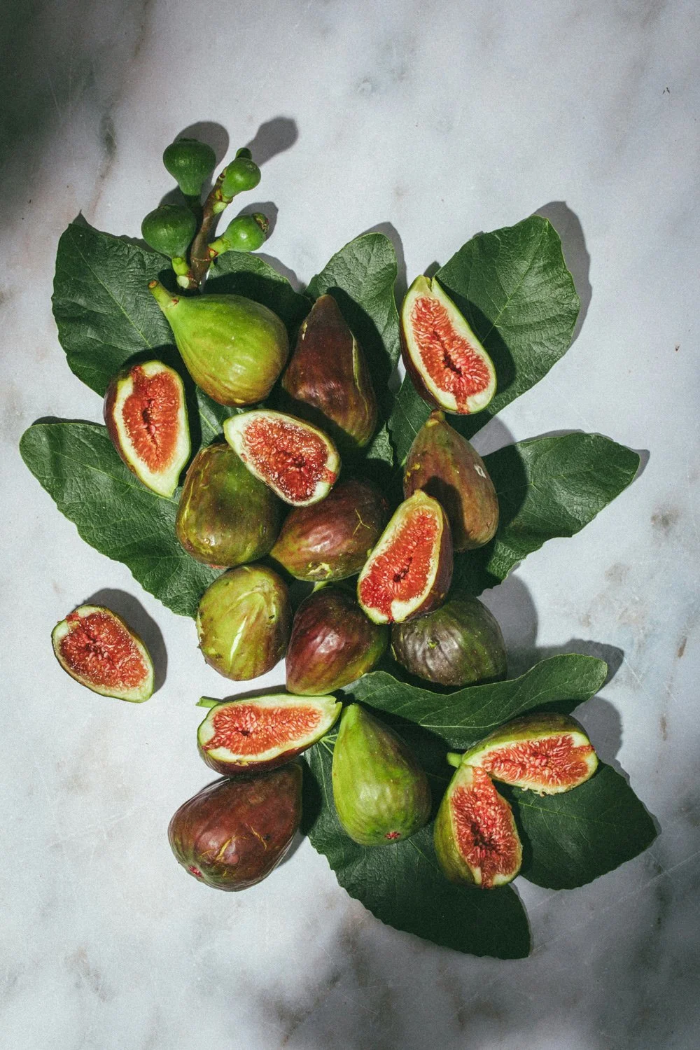 Fig fruit and leaves in Tuscany