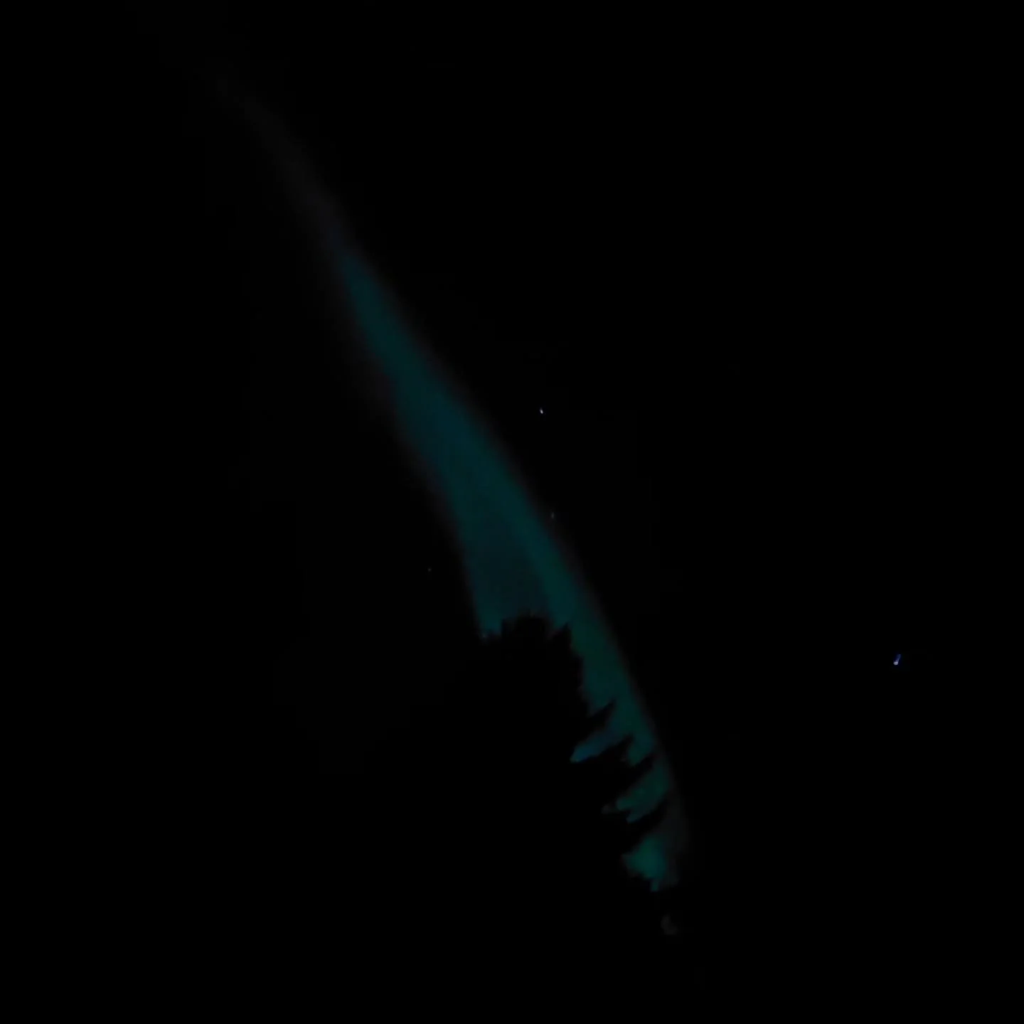 Pihakuusi, ketunh&auml;nt&auml; ja kirkkaat t&auml;hdet.