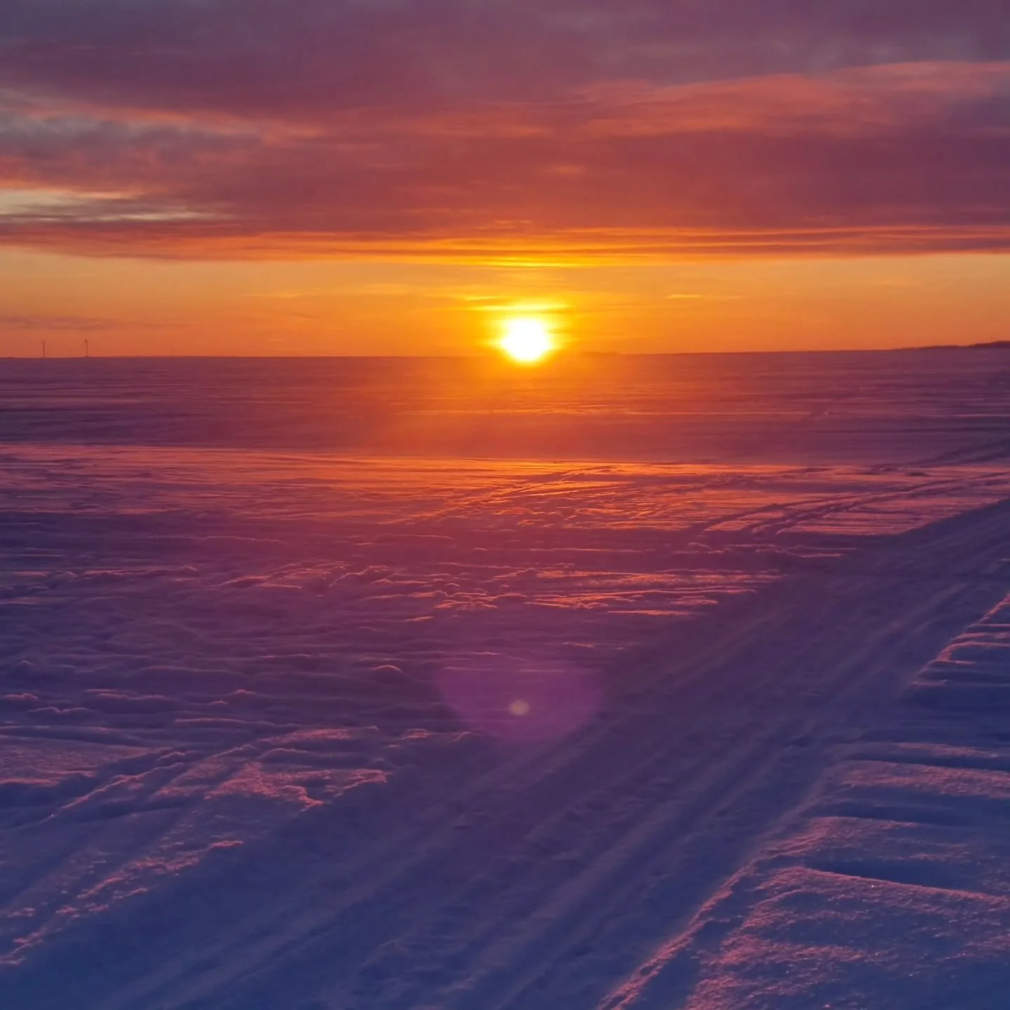 Kev&auml;ttalvella hirvitt&auml;v&auml; paine aukeille paikoille palvomaan aurinkoa 💫