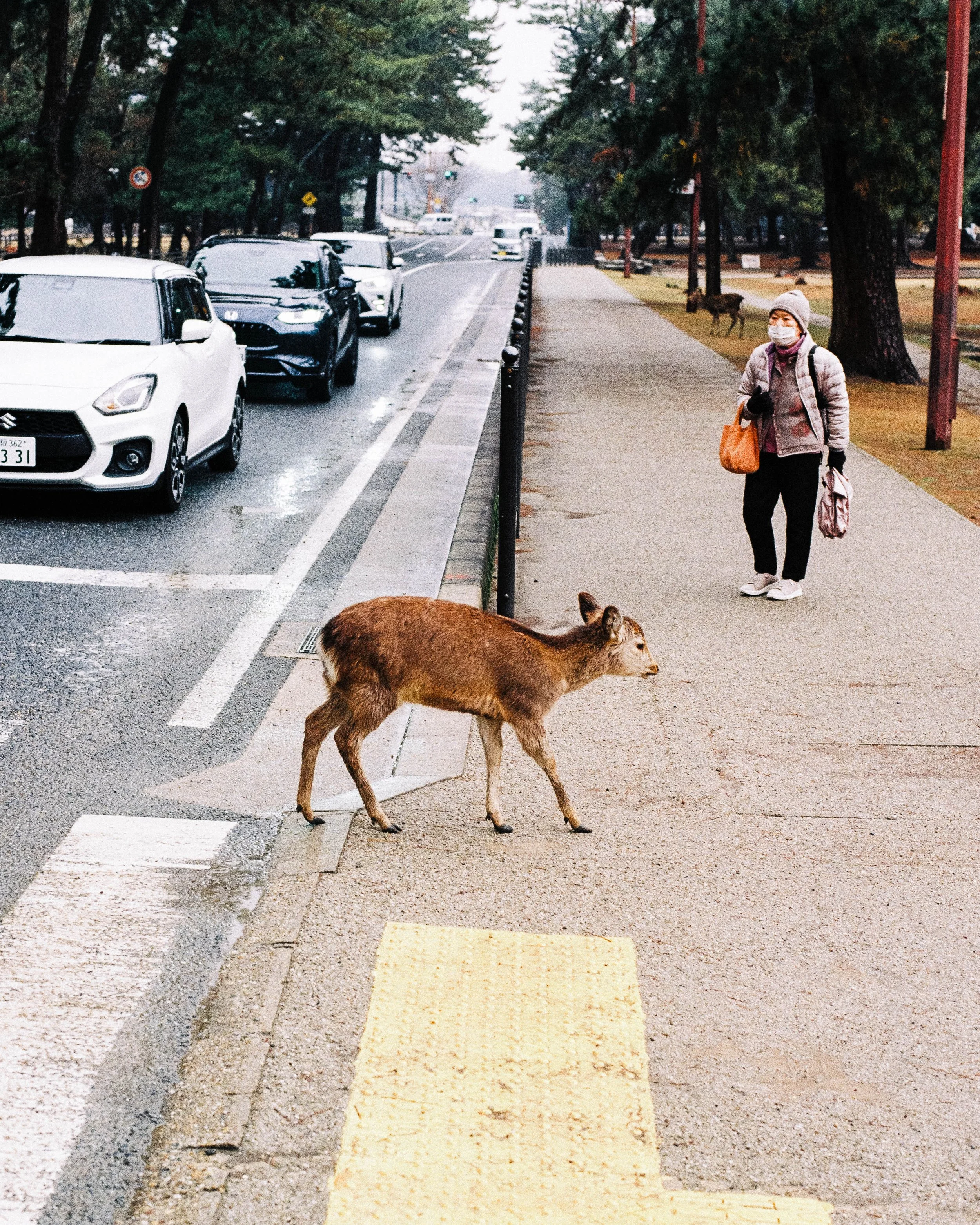 Nara, Japan