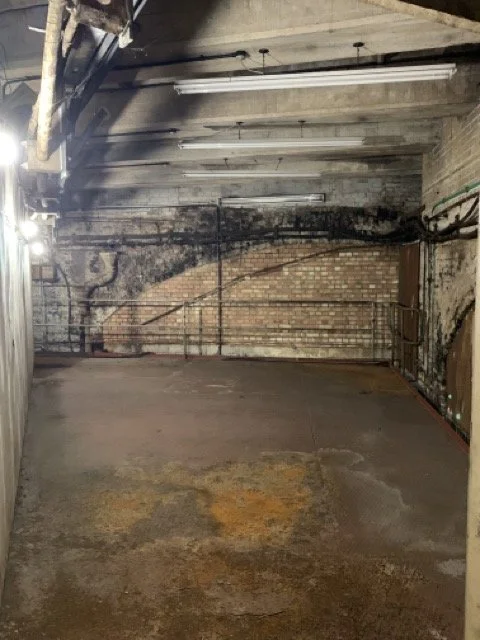 IMG_4578 Medium.jpeg