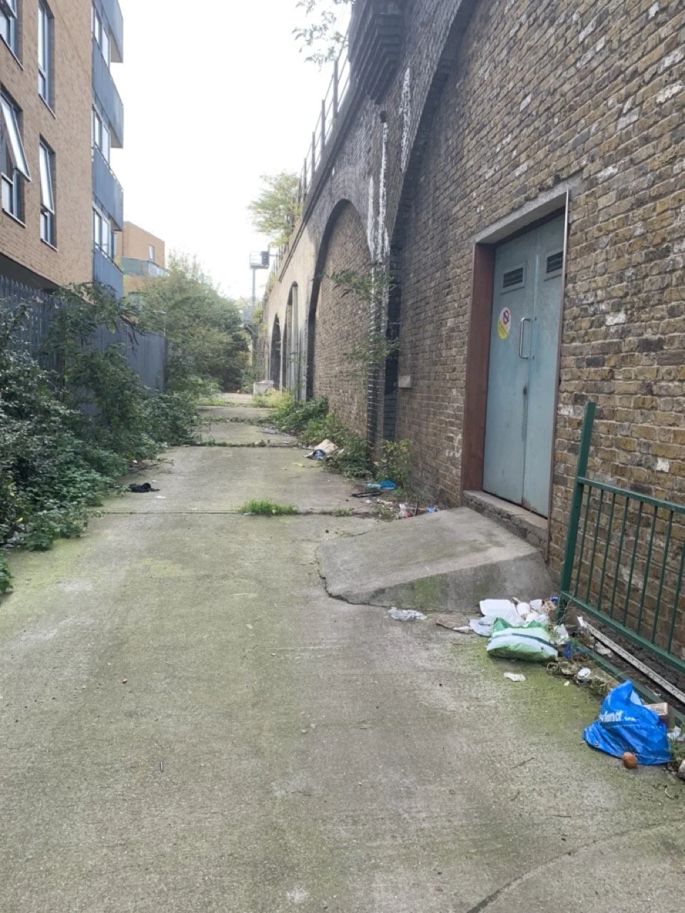 IMG_7581 2 Large.jpeg