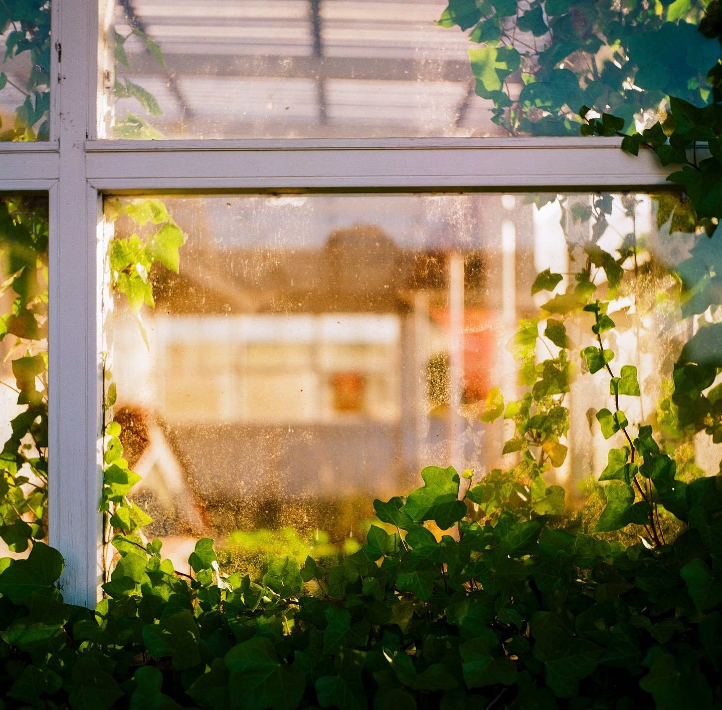 Shot these medium format beauties at an abandoned shop/grill this summer in the most perfect golden hour 🌅 really happy with the colors and the focus 😅😮&zwj;💨

#mediumformat #yashica #yashicamat124g #kodak #kodakgold200 #120photography #filmphoto