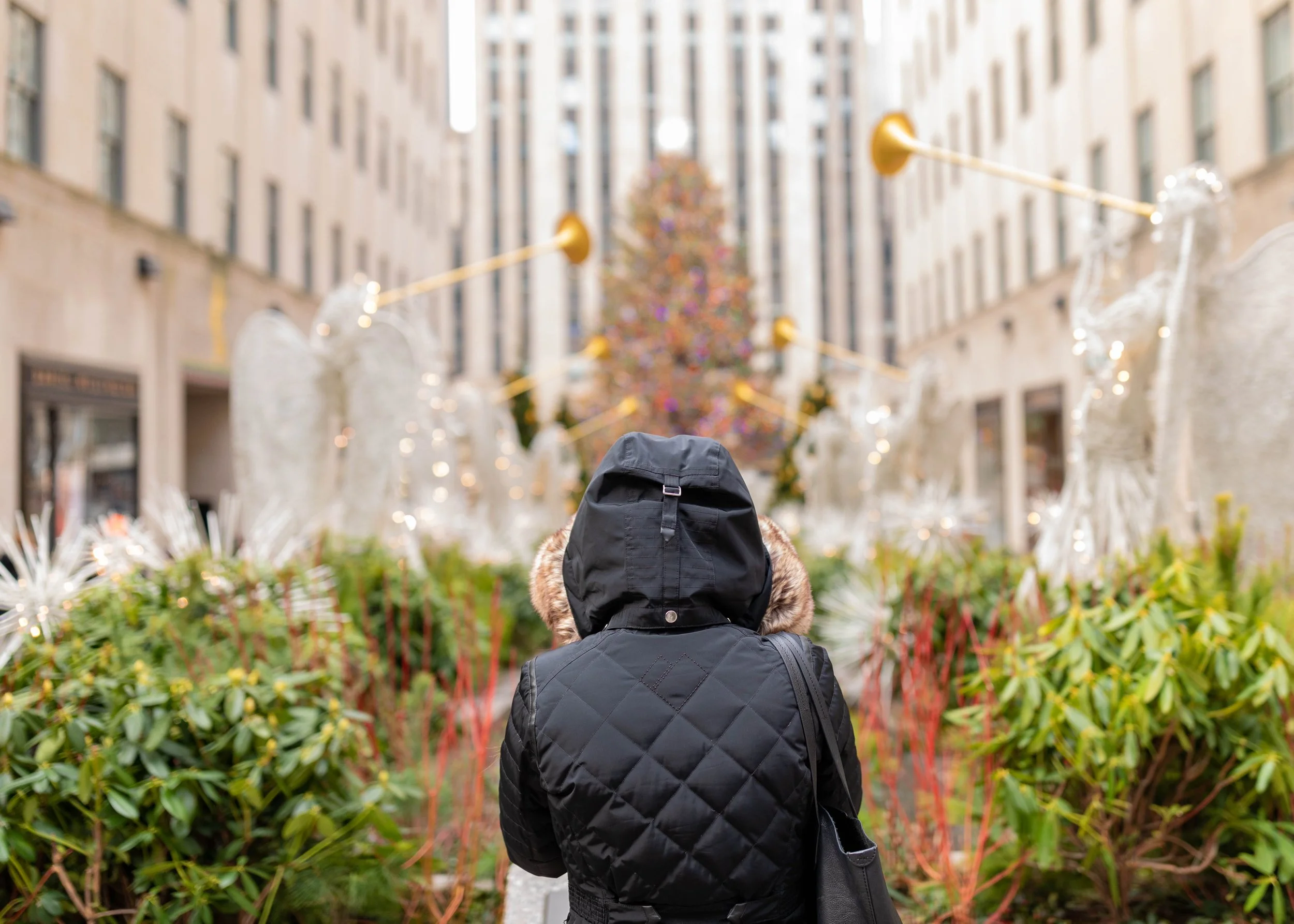 ADVENT WEEK TWO: PEACE