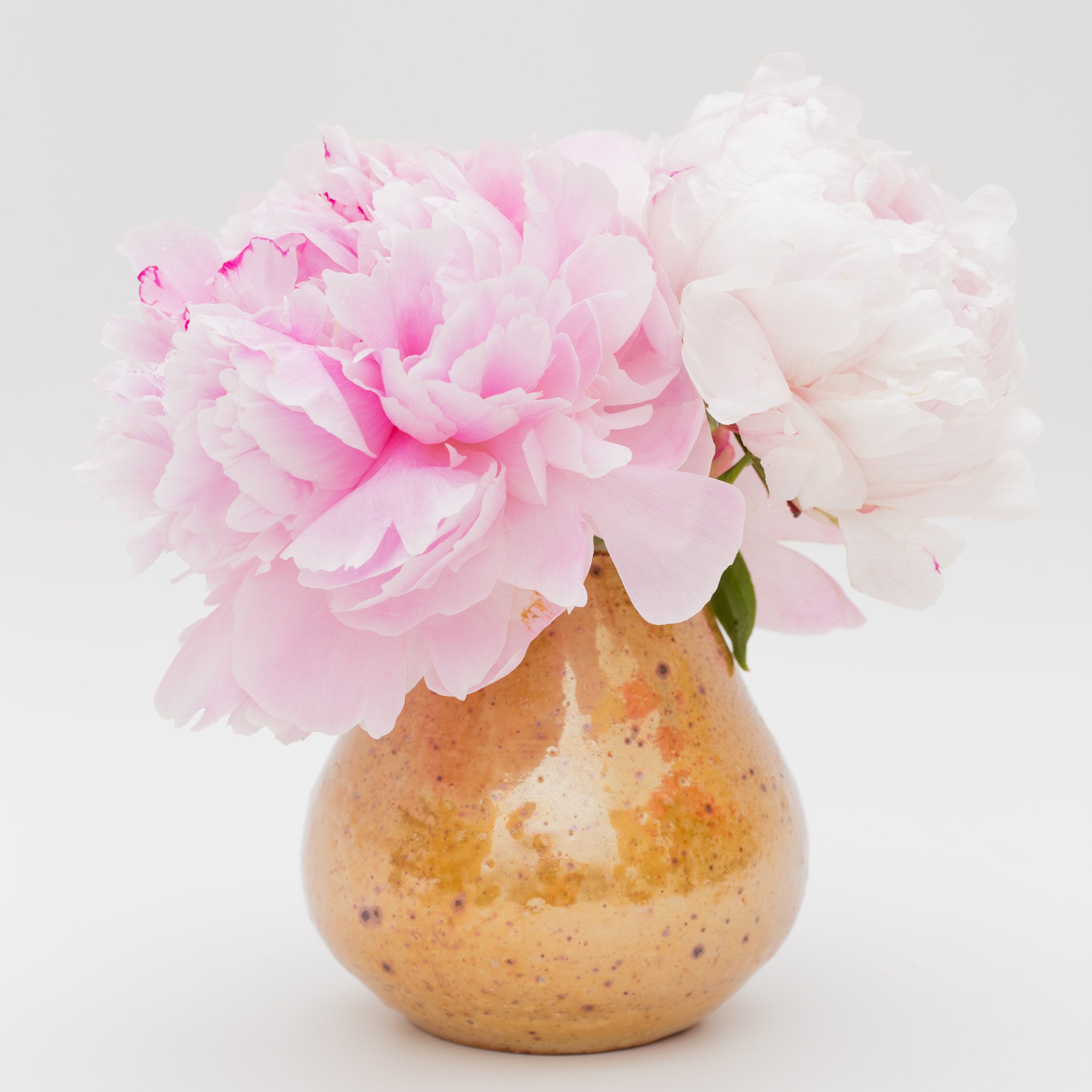 TJP_Peonies_050516_501.jpg