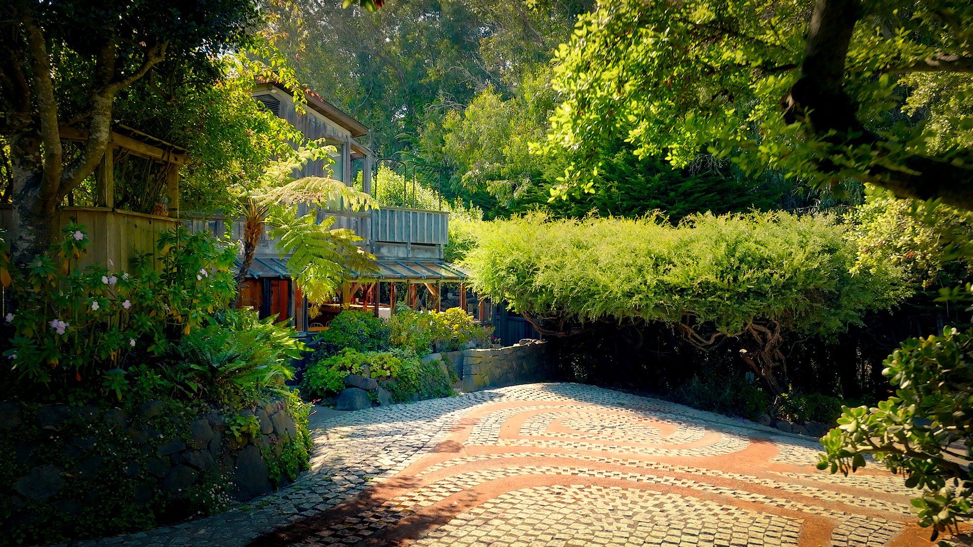 driveway.jpg