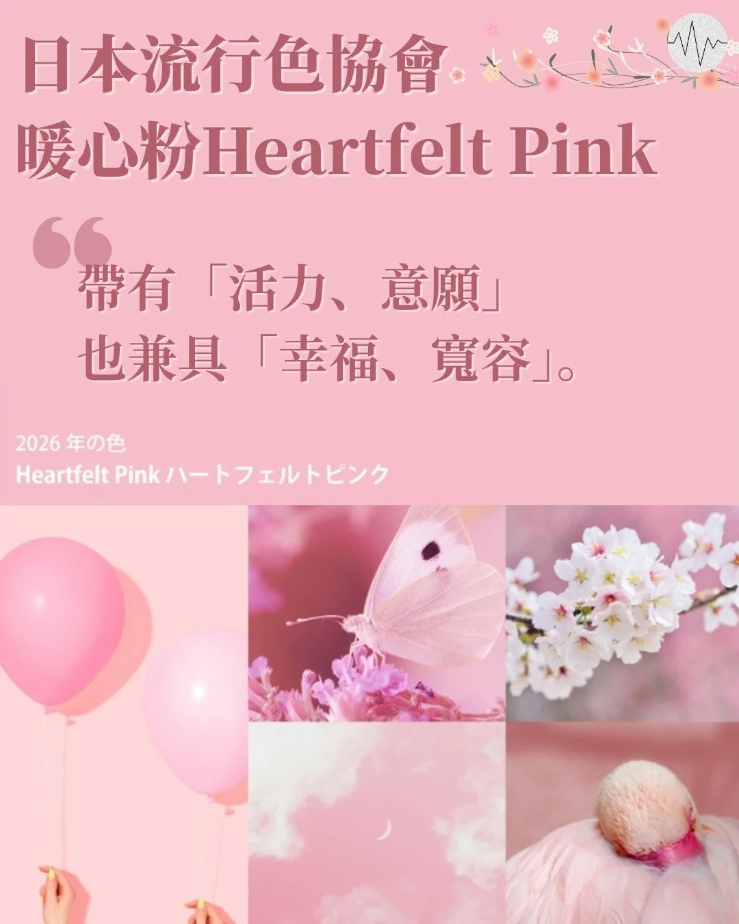 WhatsApp Image 2025-12-29 at 17.51.23 (1).jpeg