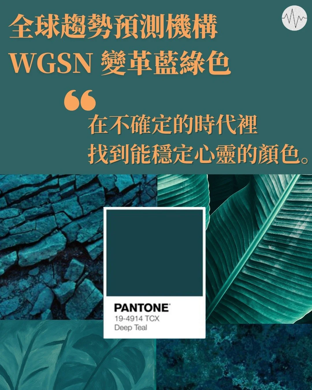 WhatsApp Image 2025-12-29 at 17.51.24.jpeg