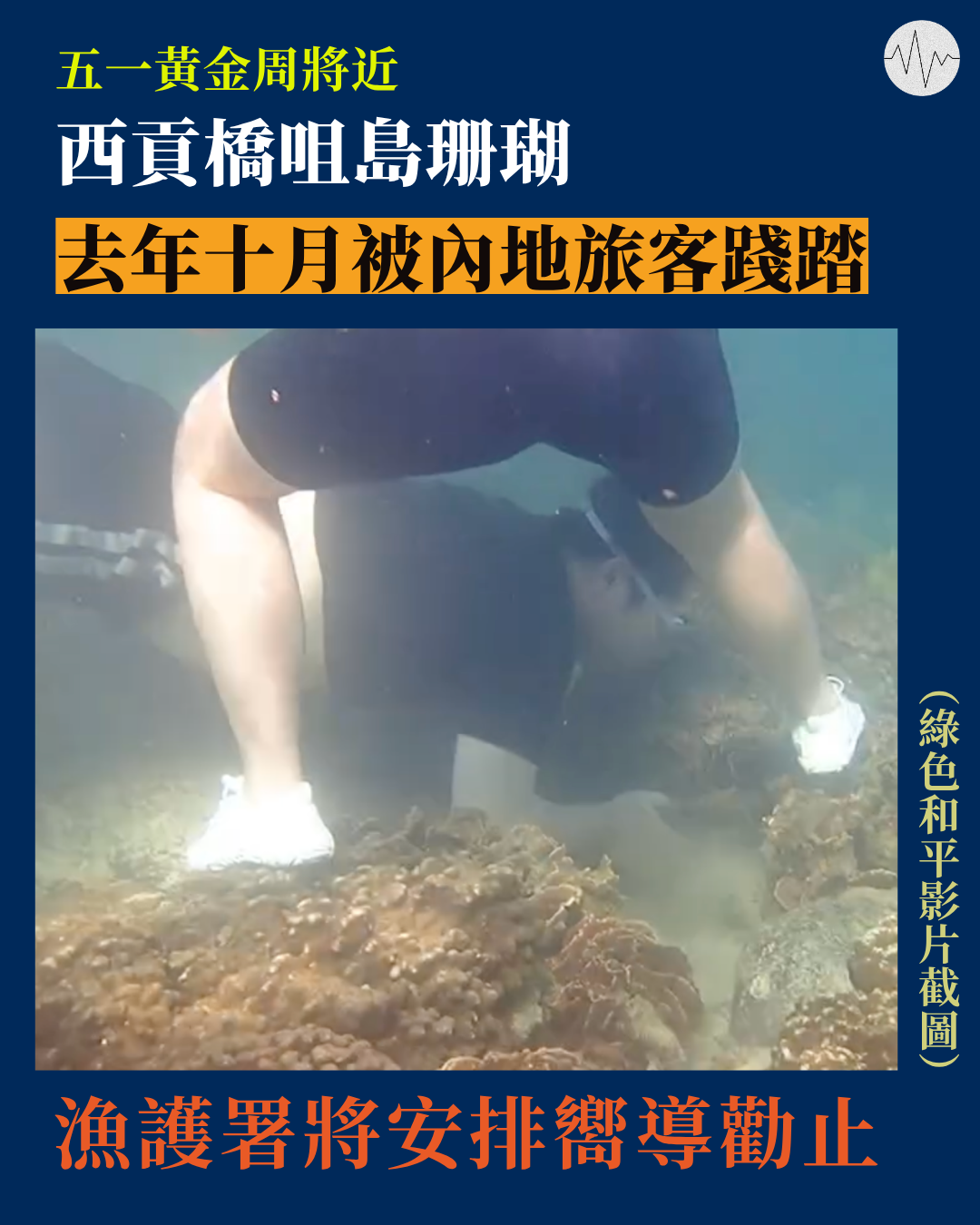 五一黃金周將近  西貢橋咀島珊瑚去年十月被內地旅客踐踏  漁護署將安排嚮導勸止