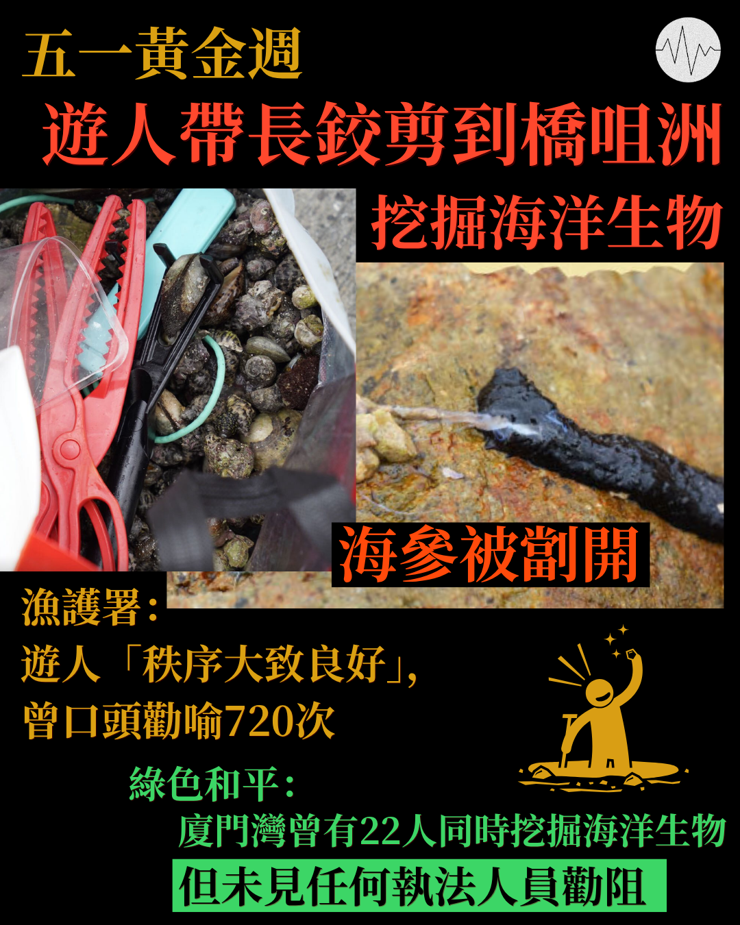 五一黃金週遊人到橋咀洲挖掘海洋生物 綠色和平促政府落車橋咀海岸公園範圍