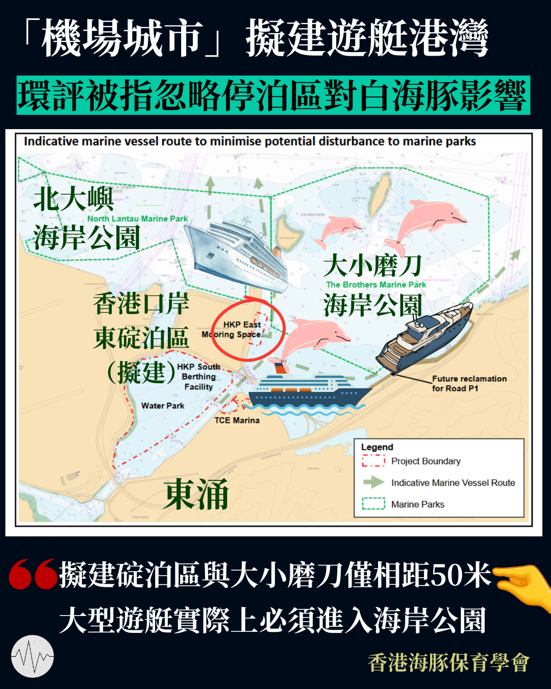 「機場城市」擬建遊艇港灣 環評被指忽略對白海豚影響 