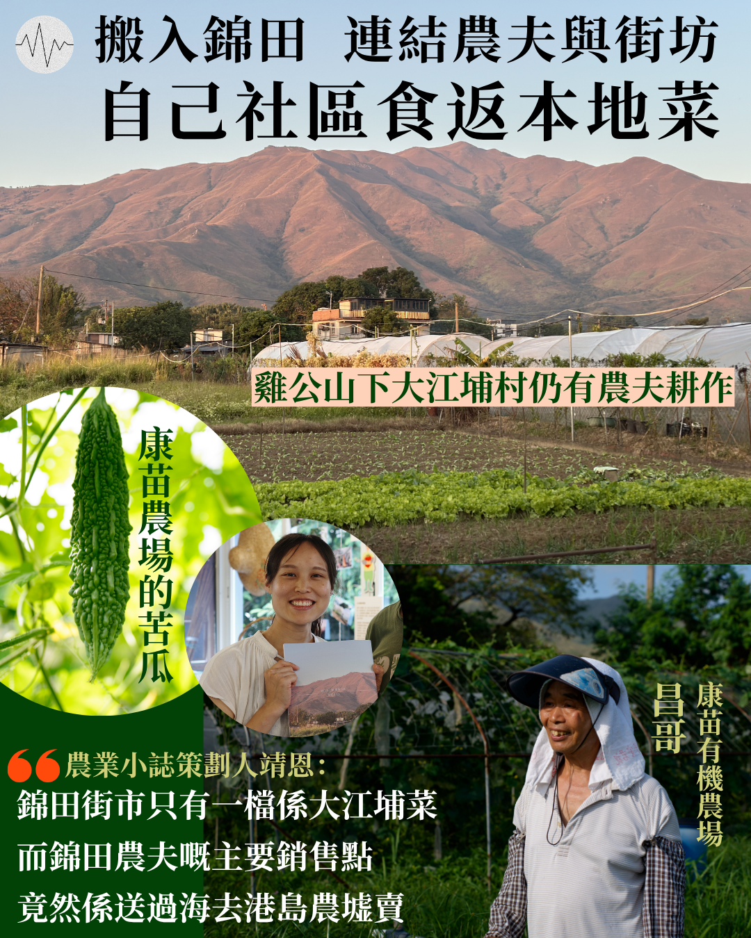 搬入錦田  連結農夫與街坊  自己社區食返本地菜