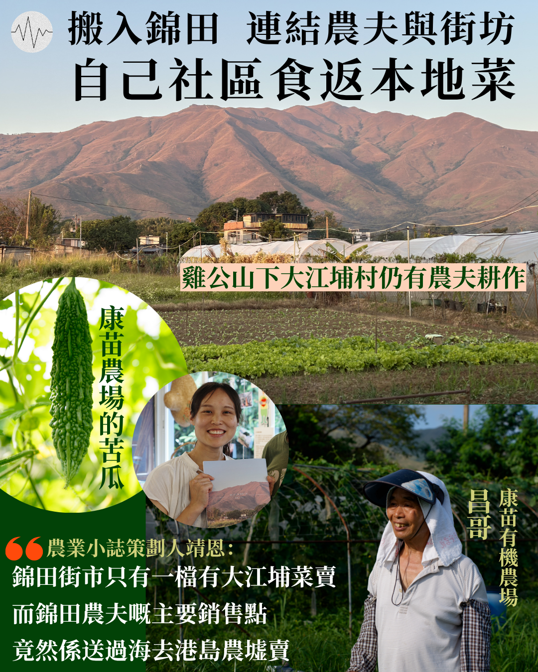 搬入錦田  連結農夫與街坊  自己社區食返本地菜