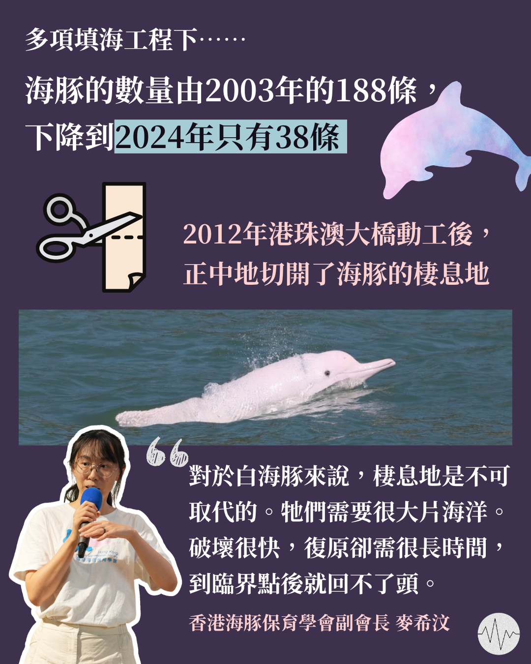 發展工程令海豚數目直線下降  ⿆希汶：生態破壞難以補償