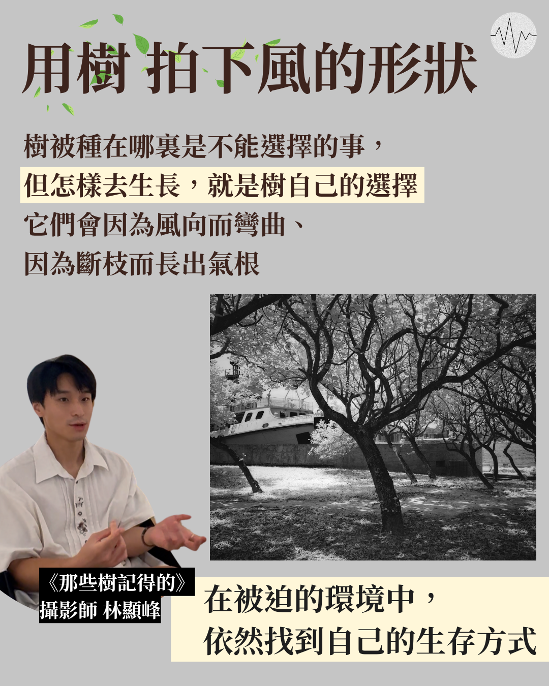 香港攝影師用樹拍下風的形狀 被限環境找出生存方式