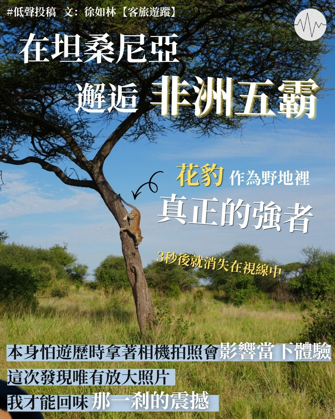 如林：客旅遊蹤：邂逅非洲五霸＠坦桑尼亞 塞倫蓋蒂大草原