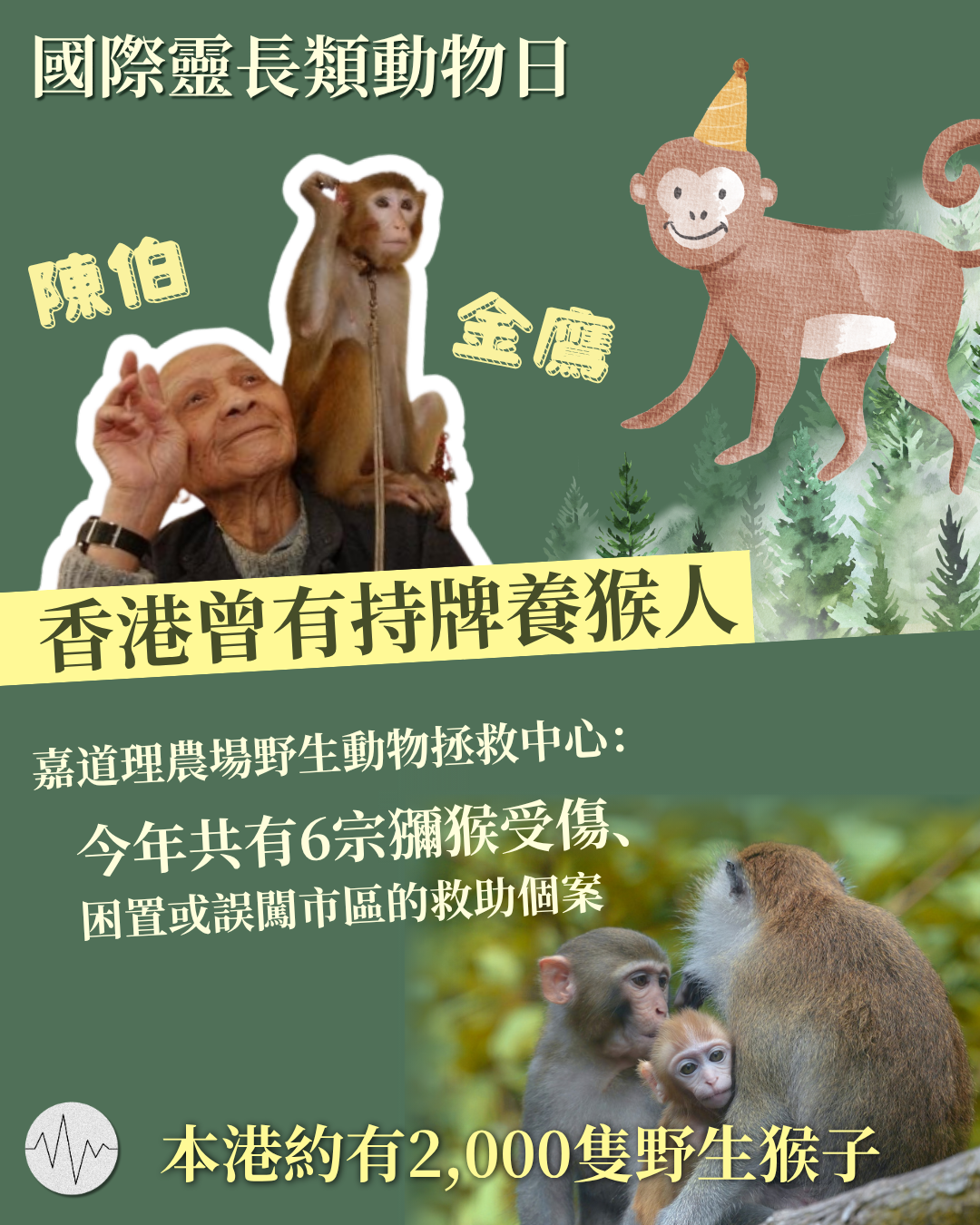 國際靈長類動物日 嘉道理農場：今年有6宗獼猴救助個案