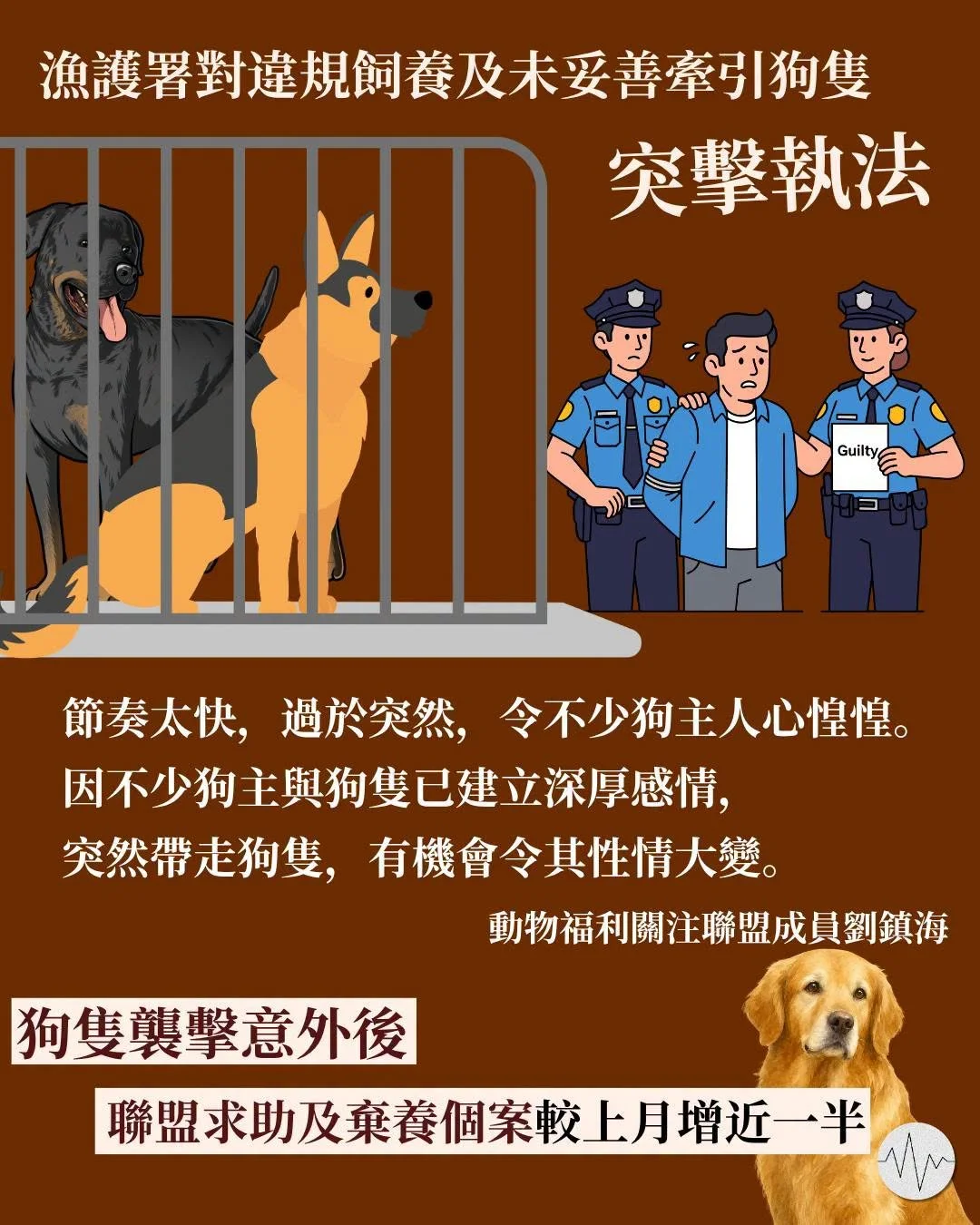 對違規飼養狗隻突擊執法 動保組織：或令狗隻性情大變